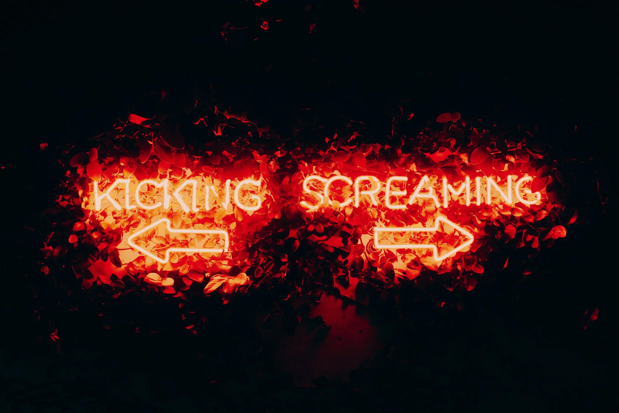 LA with Sunday & The Top Chefs 151.jpg