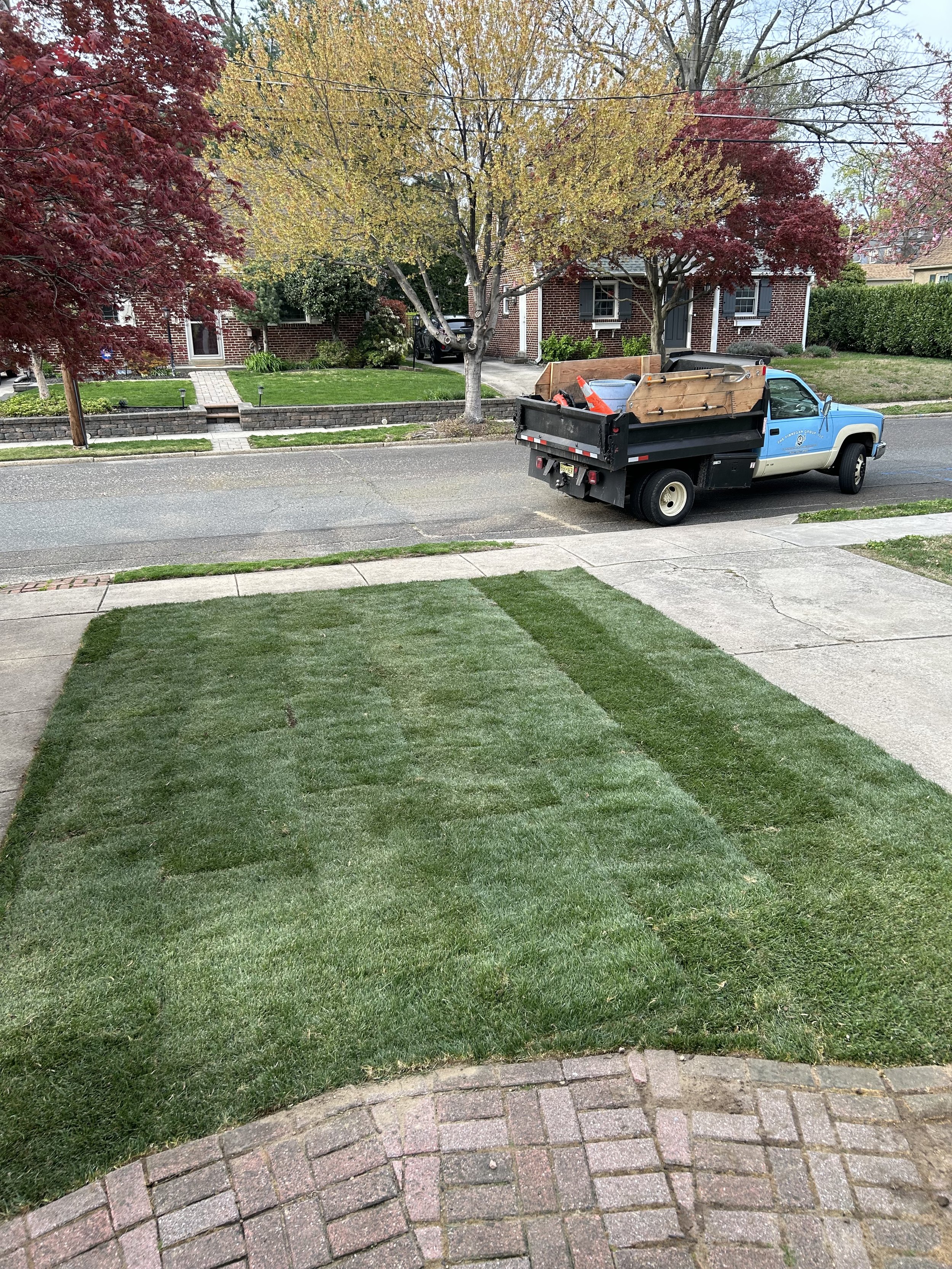 Lawn Renovation & Sod