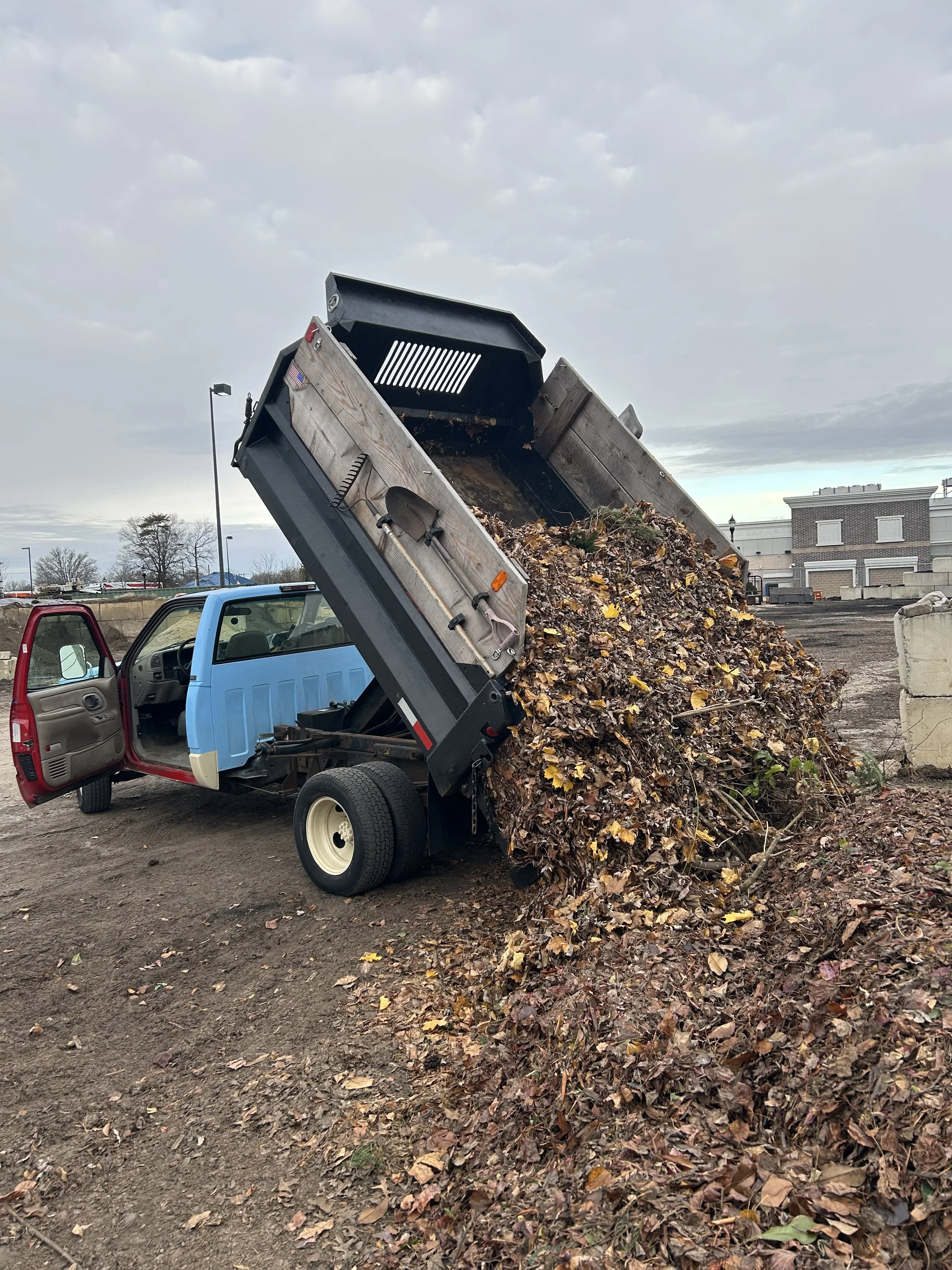 Dump truck emptying a load of brown fallen leaves onto the ground.