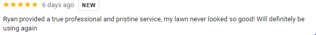 A customer review stating positive feedback about a lawn service, mentioning professional service and a well-maintained lawn.