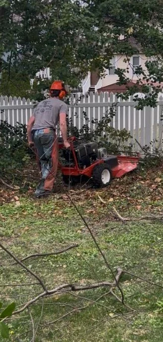 Brush Clearing Services