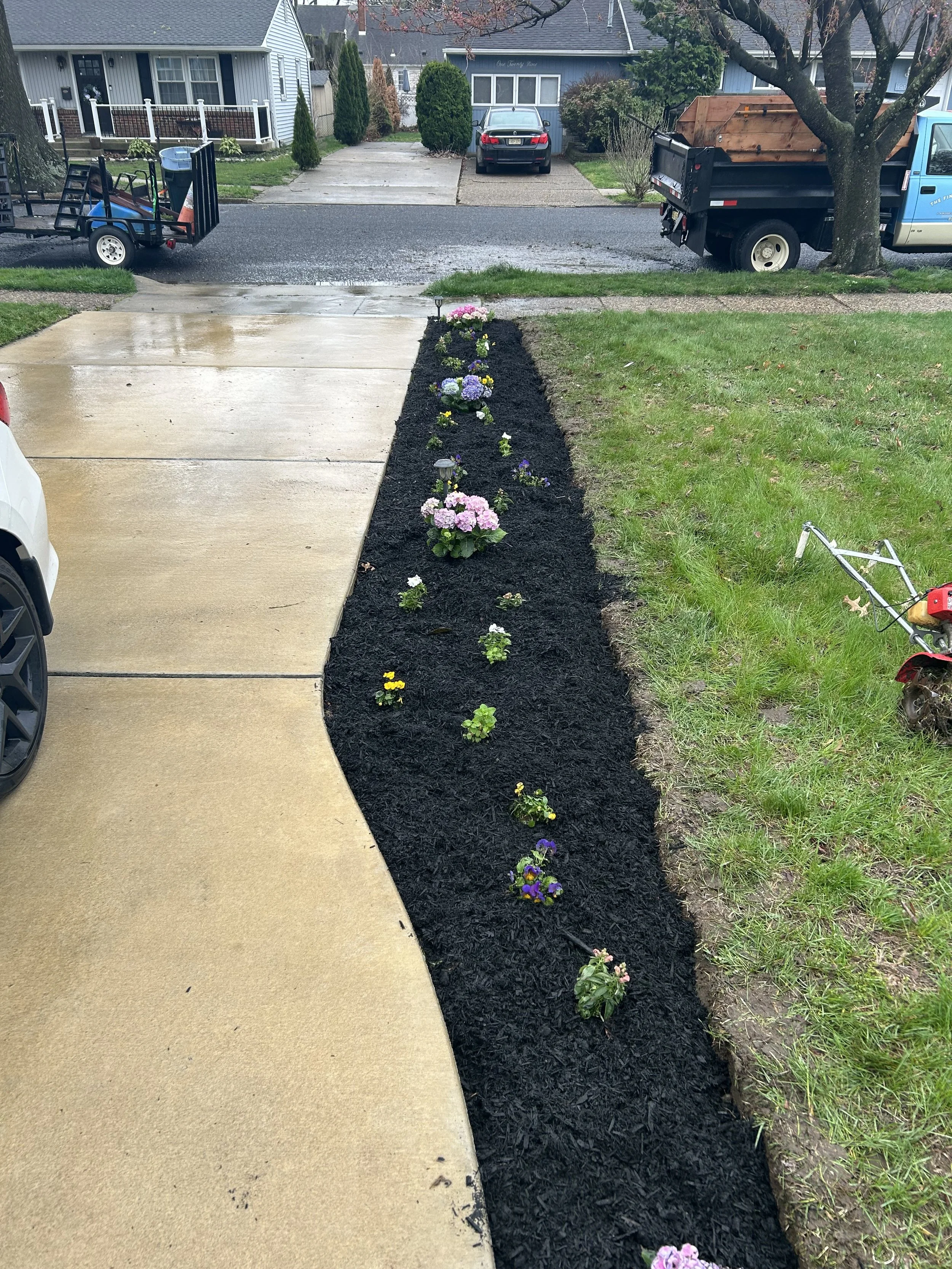 Newly planted flower bed with colorful flowers along a curved concrete driveway in a residential neighborhood on a rainy day.