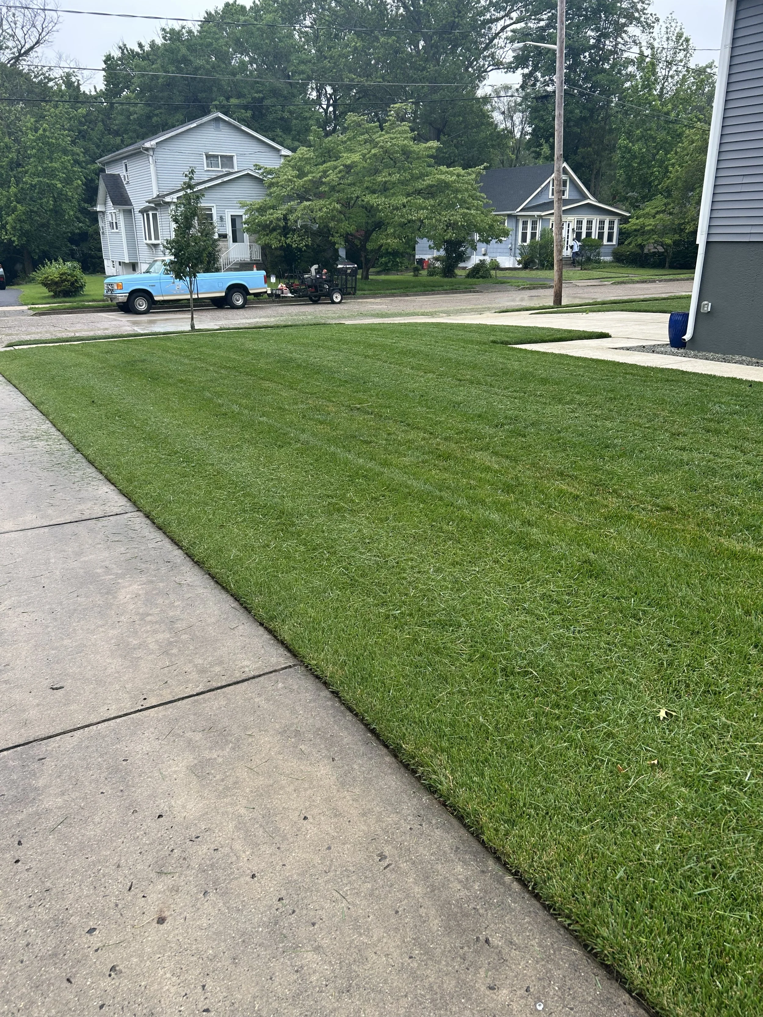 A neatly mowed green lawn next to a concrete sidewalk, with houses and trees in the background, and a blue pickup truck parked on the street.