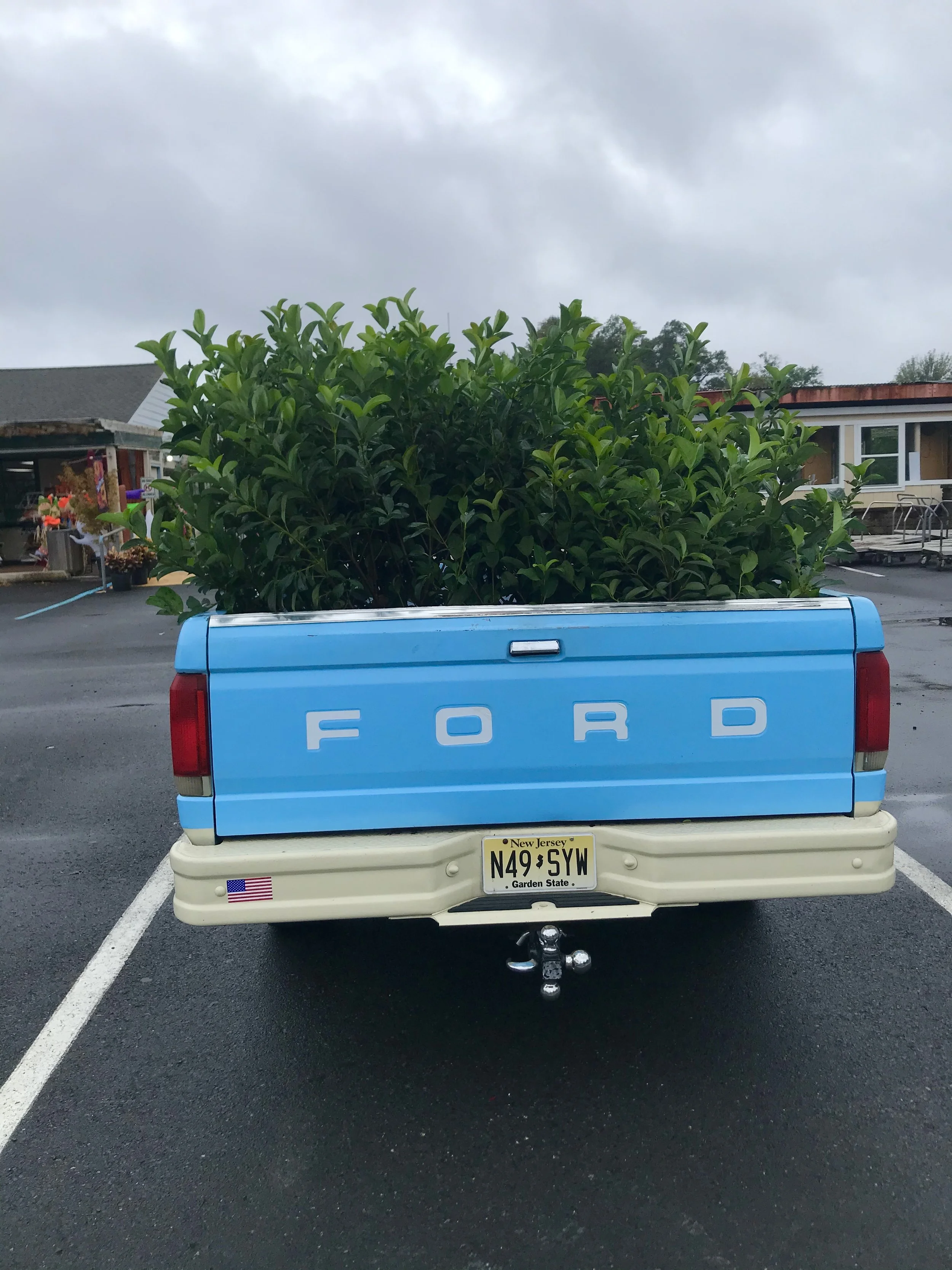 Landscape Management