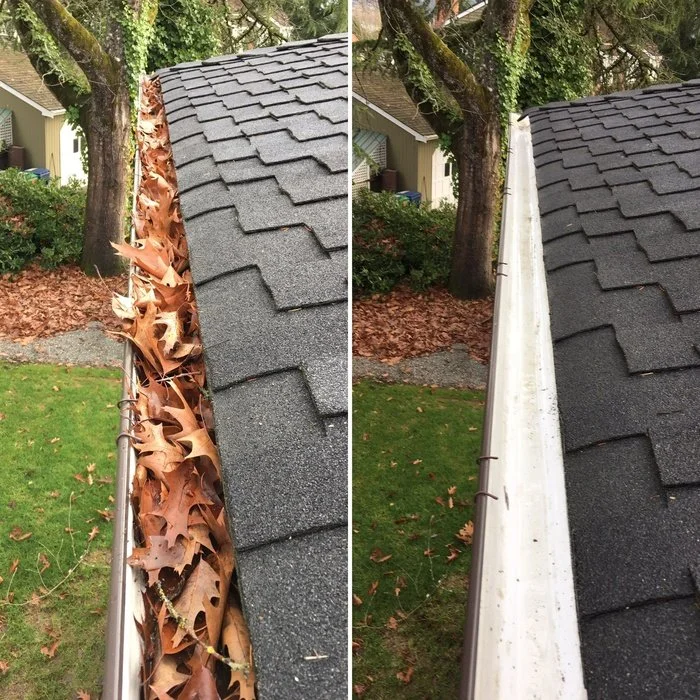 Gutter Cleaning