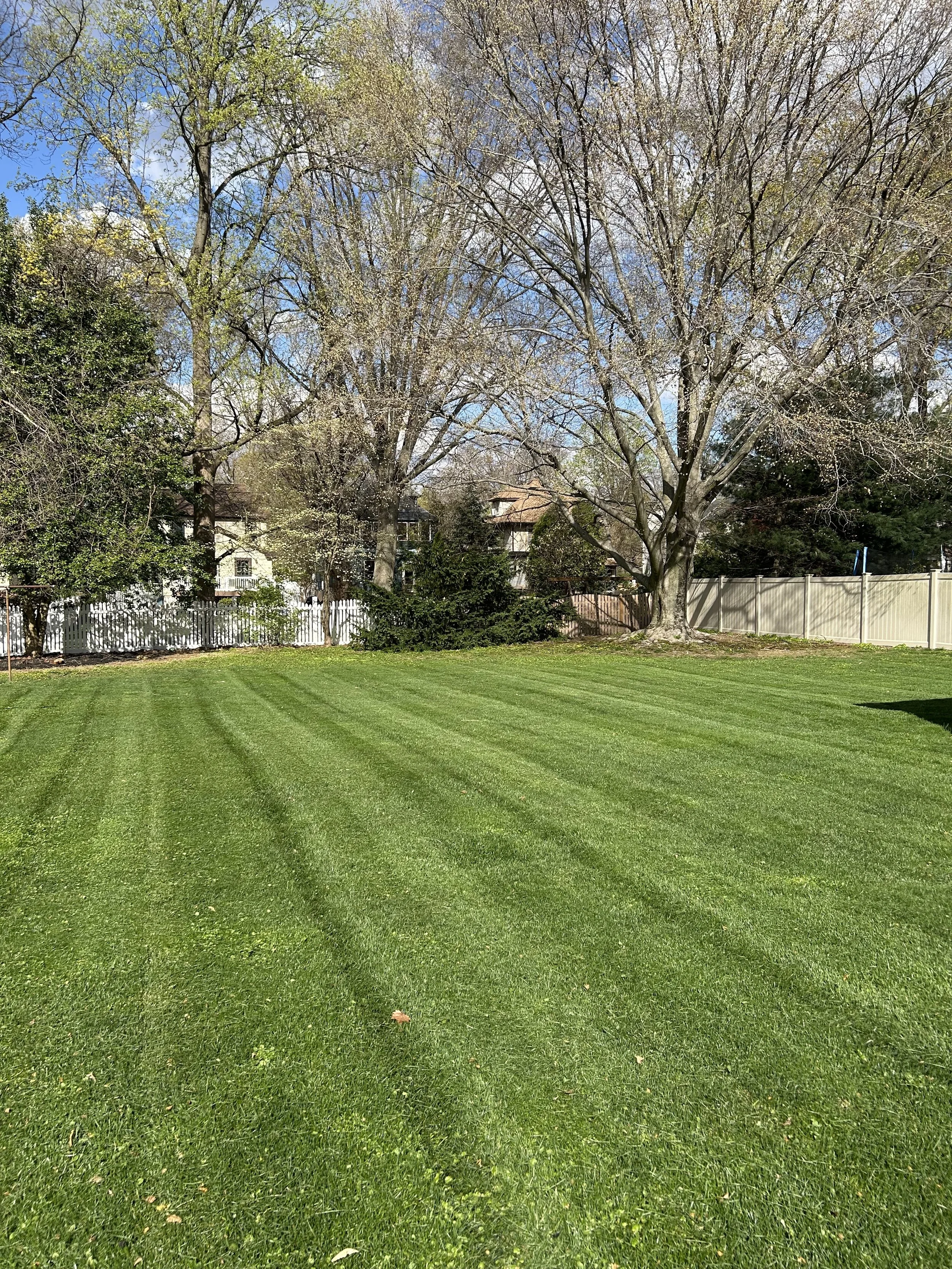 Fertilization Treatments