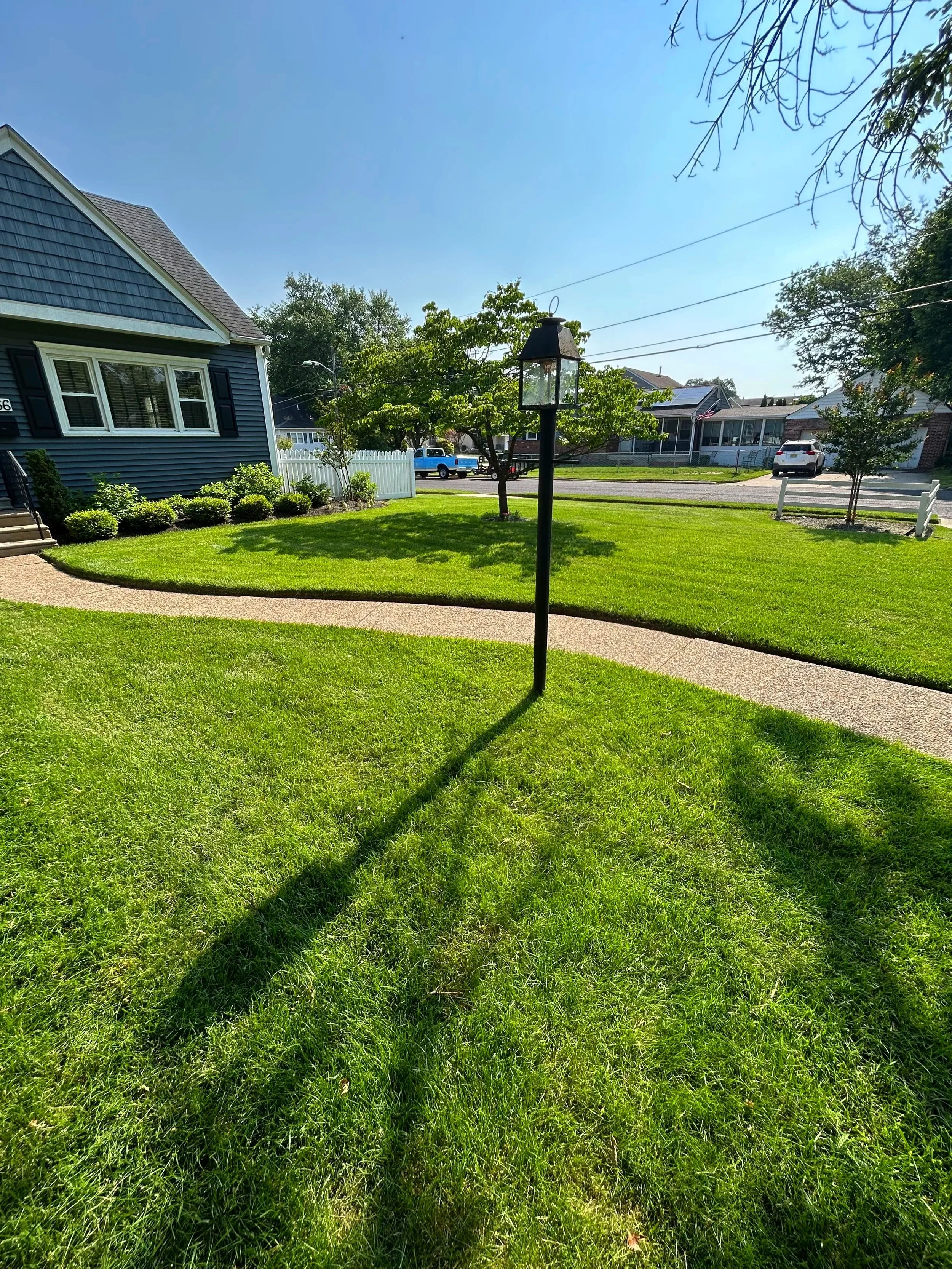 A suburban front yard with a lawn, a curved walkway, a black lamp post with a lantern, and trees. Houses and parked cars are in the background on a sunny day.
