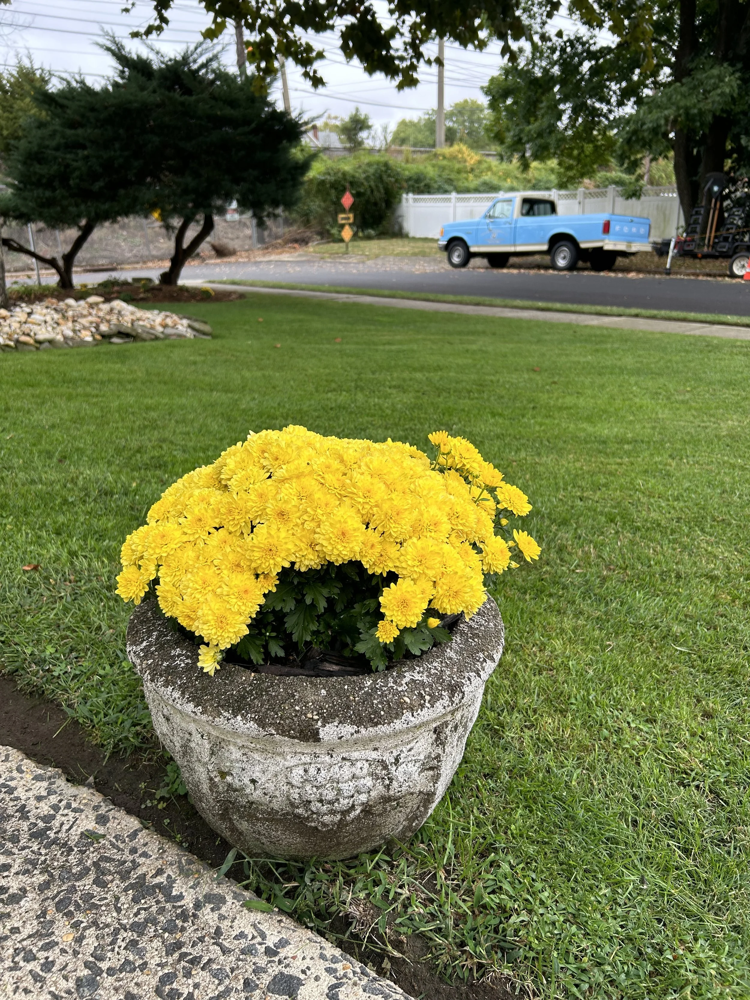 Full Season Turf & Landscape