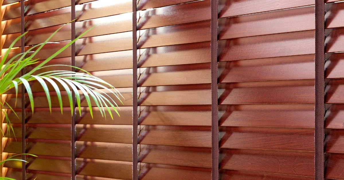 Close-up of wooden window shutters with a plant in front of them.