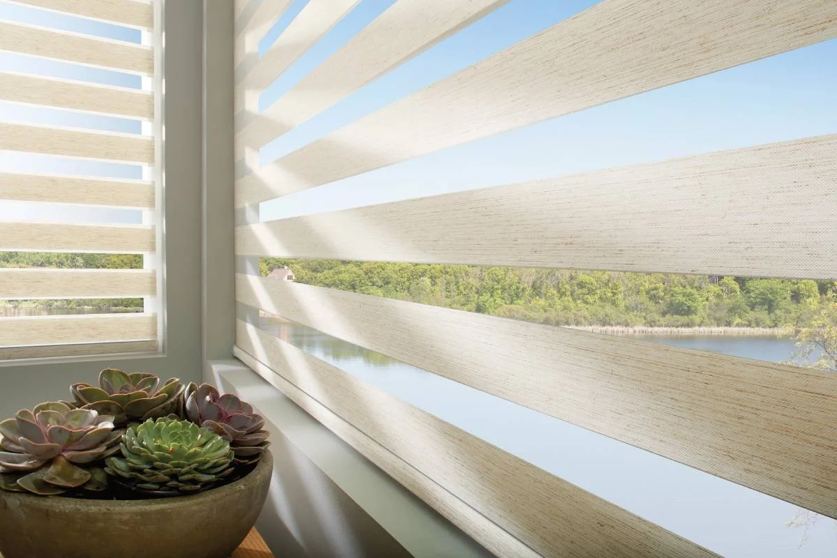 View of a river or lake through beige horizontal blinds from a windowsill with a potted succulent plant in the foreground.