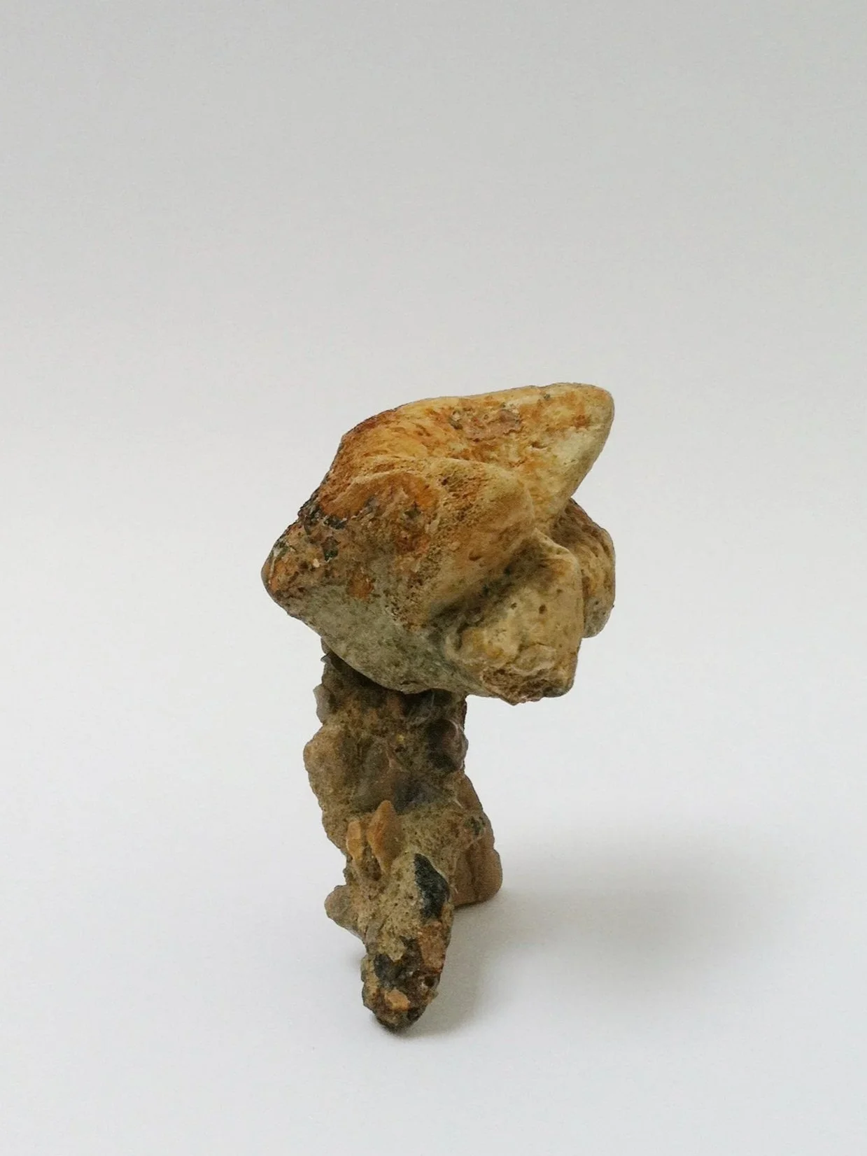 Untitled (Mudlarkin), 2014, Stone, bone, steel