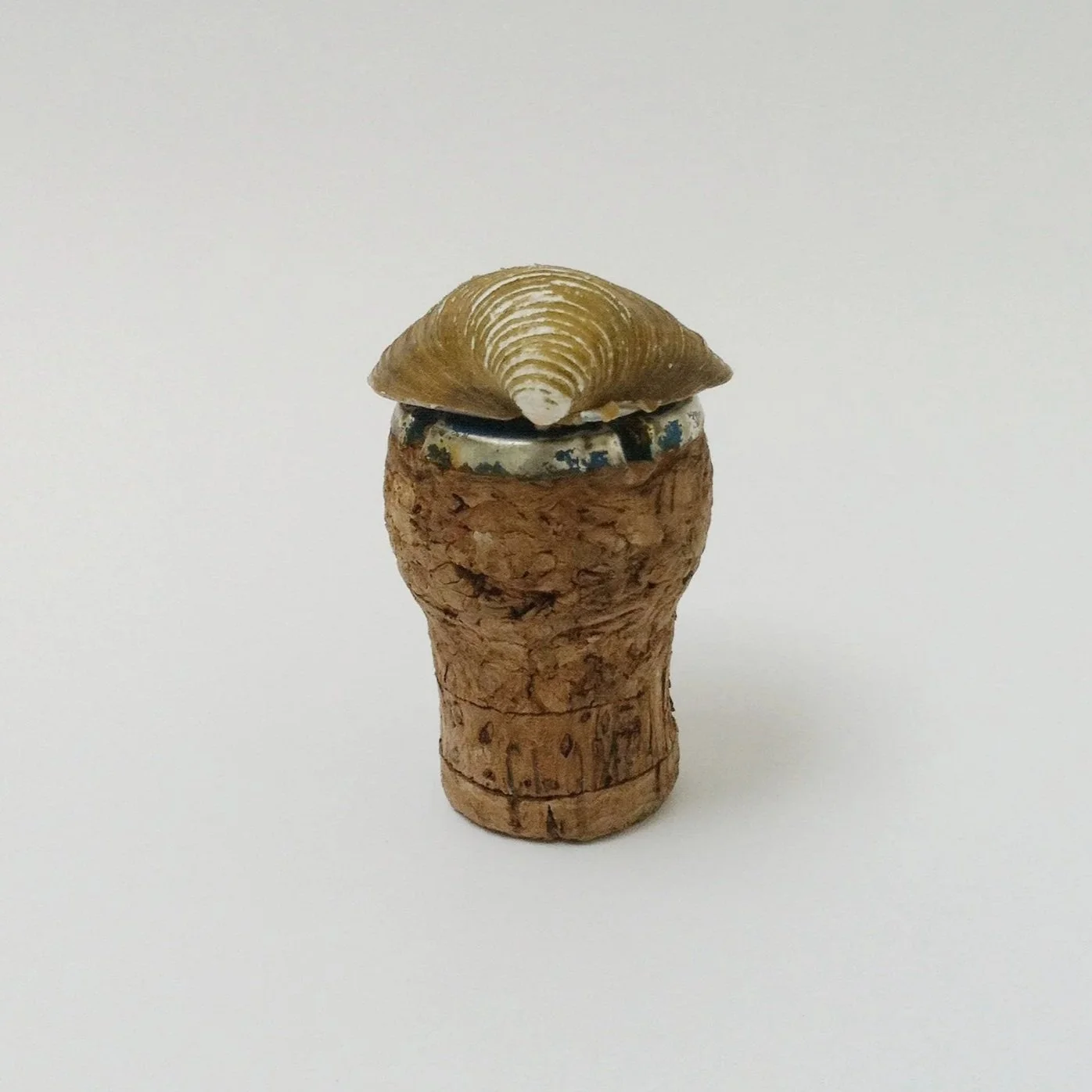 Untitled (Mudlarkin), 2014, shell, metall, cork