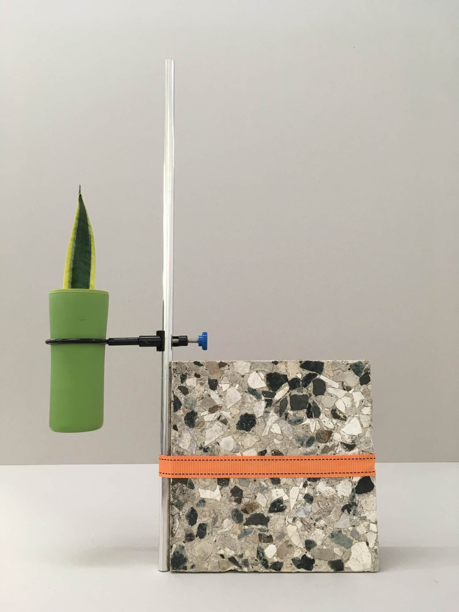 Proposal Nr. 28, 2018, Thermos, Sansevieria leaf, terrazzo tile, tube, tension belt, tripod ring stand rings, 38x75x10 cm