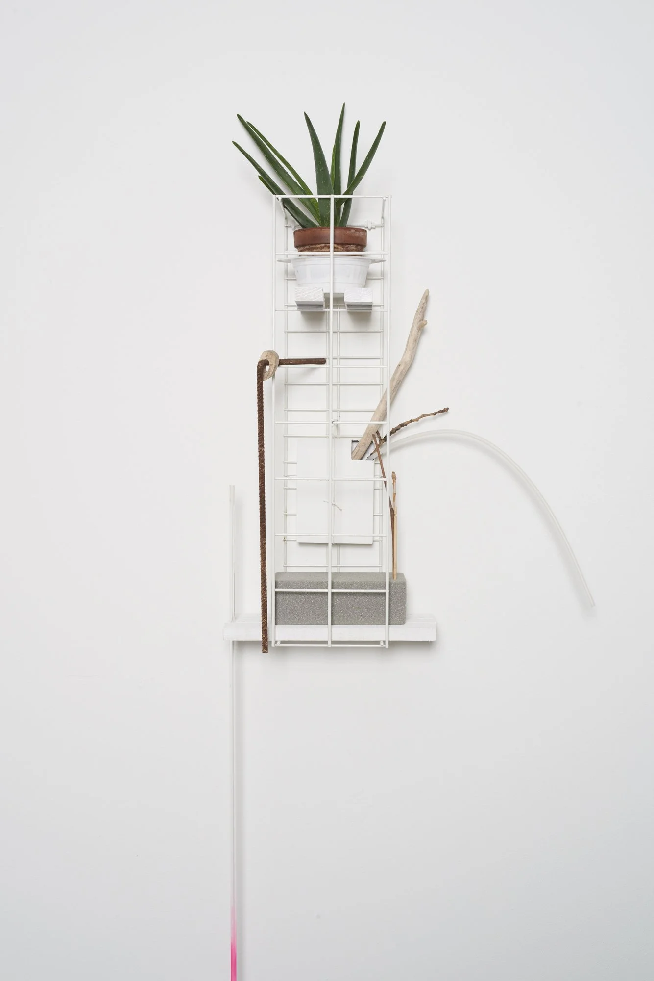 Untitled (Gridworks), 2022 Steel frame, plant, metal, wood, foam