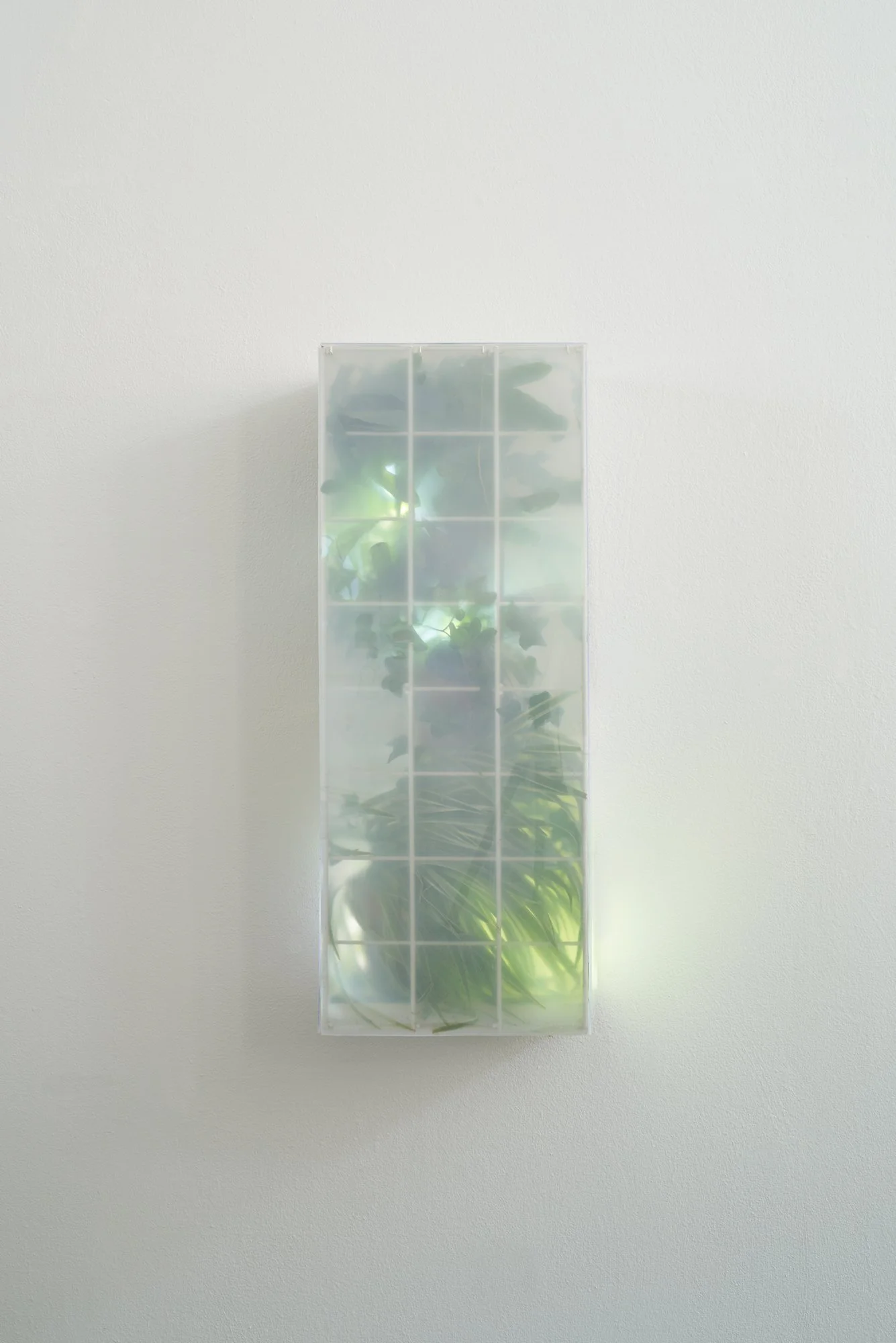 Untitled (Gridworks), 2018, Steel frame, wood, acrylic glass, paint, plants, LED lights, mirrors