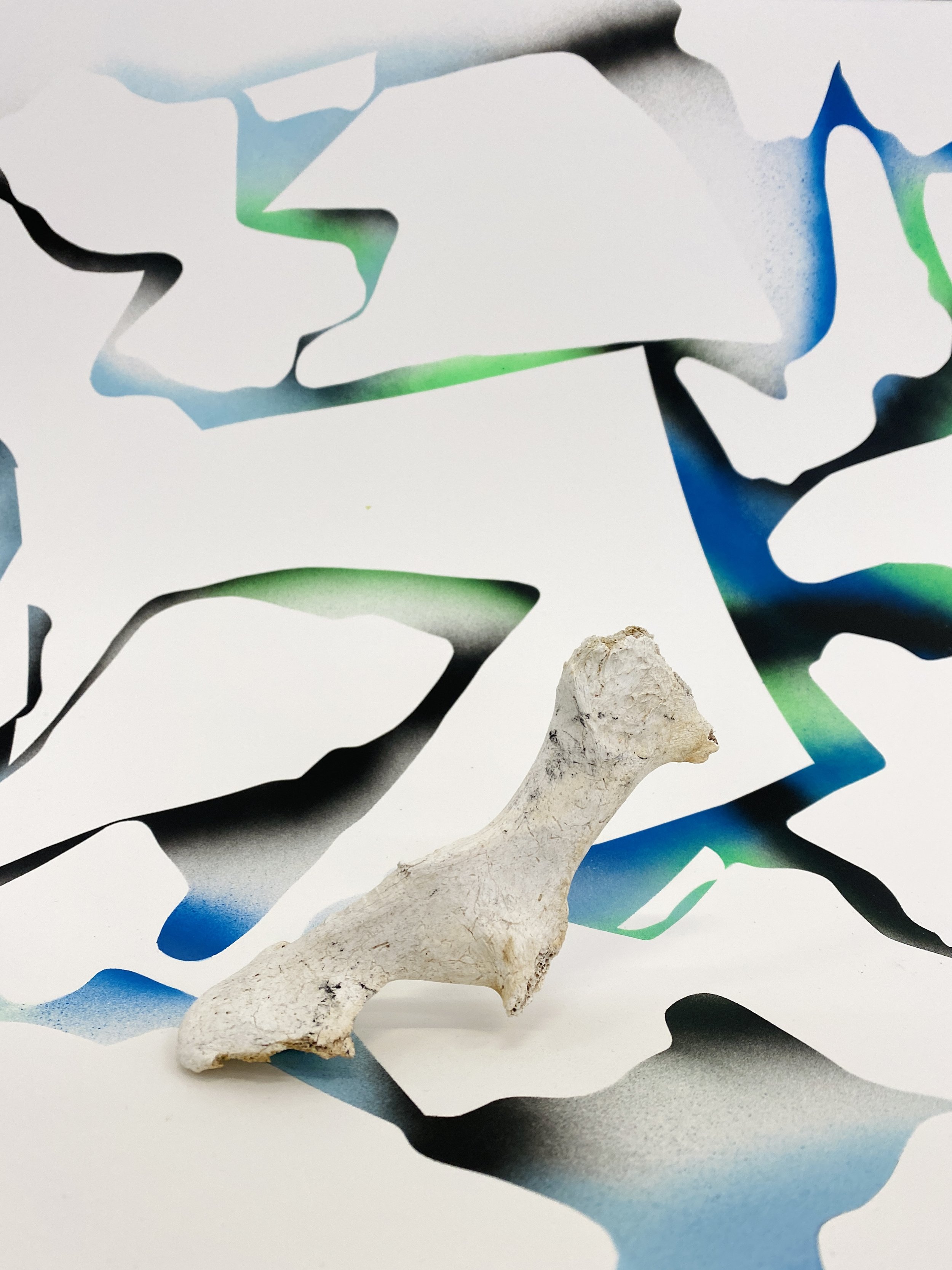 Funny Bone, 2024, Bone and spraypainted sheet of paper