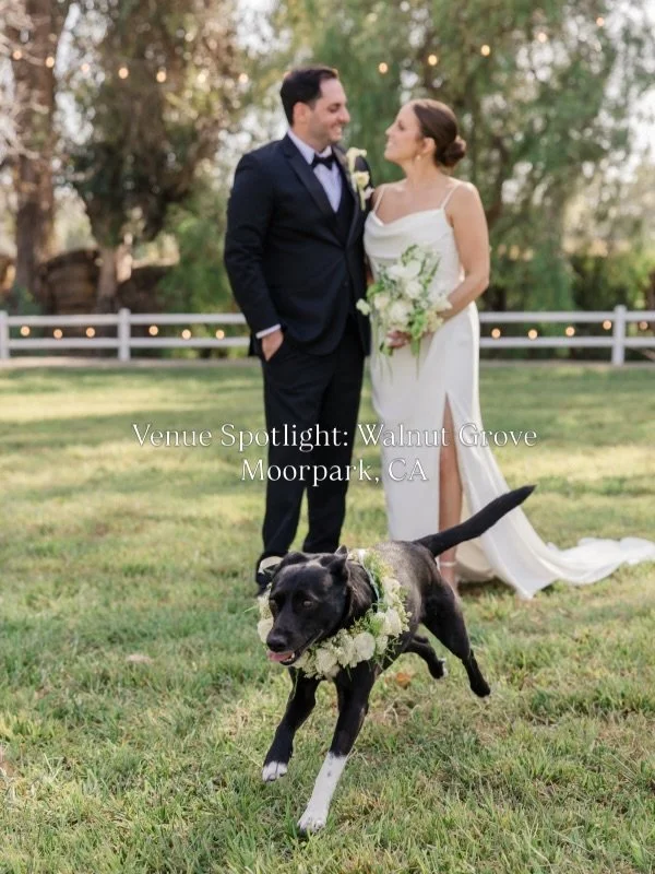 Walnut Grove at Tierra Rejada Farms offers the kind of setting that already feels special before the design details are added &mdash; rustic, tree-lined, and surrounded by natural beauty.

For our gorgeous couple, the design leaned into the venue&rsq