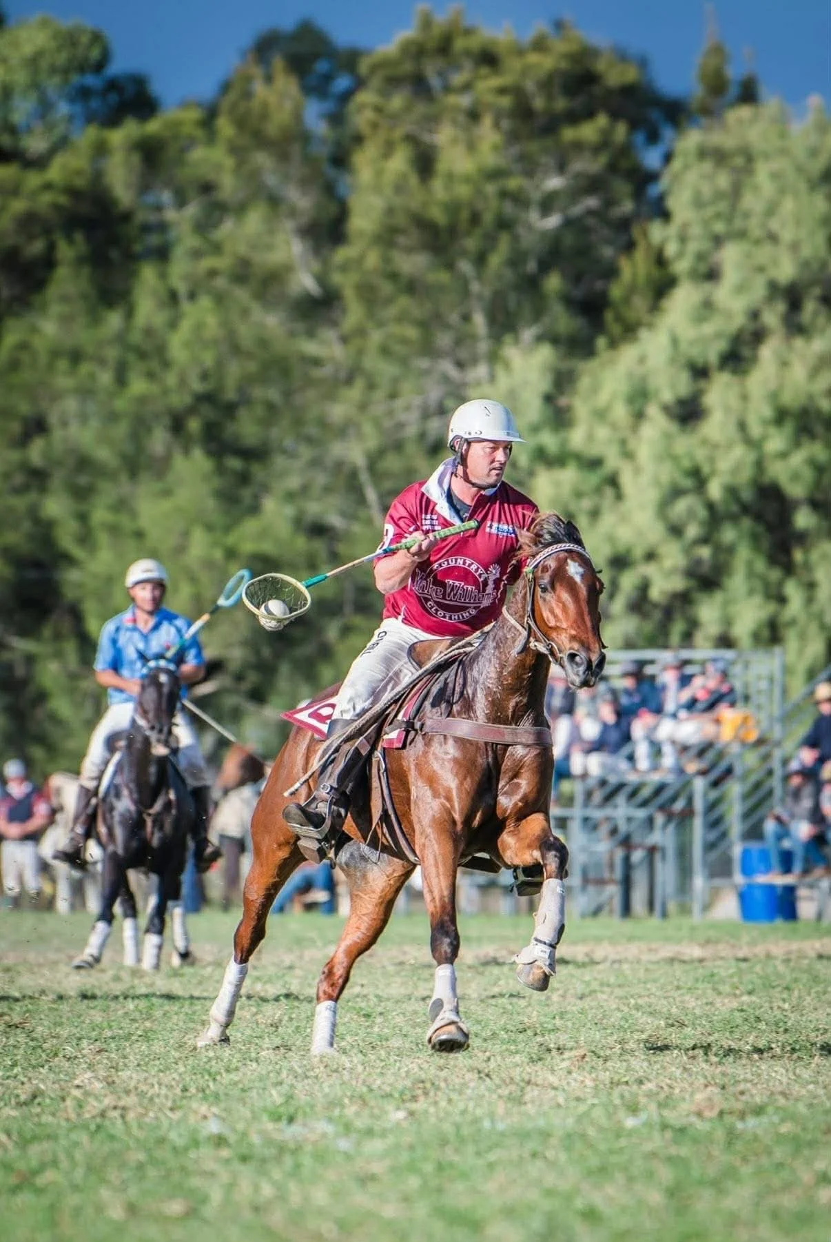 Billabillacoolah Jigsaw ~ 𝐄𝐏 𝐇𝐨𝐫𝐬𝐞 𝐏𝐫𝐨𝐟𝐢𝐥𝐞 | 𝐑𝐨𝐚𝐝 𝐭𝐨 𝐭𝐡𝐞 𝟐𝟎𝟐𝟔 𝐃𝐚𝐫𝐰𝐢𝐧 𝐏𝐨𝐥𝐨𝐜𝐫𝐨𝐬𝐬𝐞 𝐍𝐚𝐭𝐢𝐨𝐧𝐚𝐥𝐬