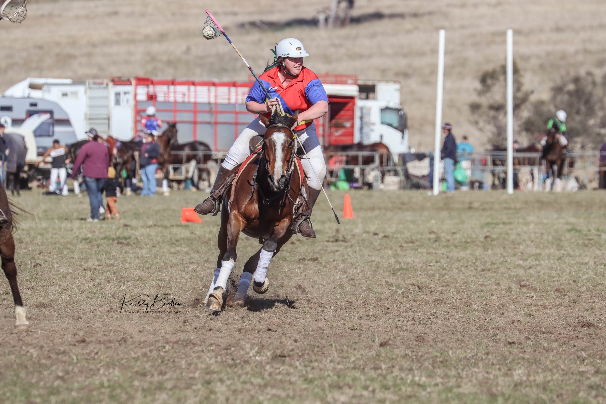 Halsteds Shakira ~ 𝐄𝐏 𝐇𝐨𝐫𝐬𝐞 𝐏𝐫𝐨𝐟𝐢𝐥𝐞 | 𝐑𝐨𝐚𝐝 𝐭𝐨 𝐭𝐡𝐞 𝟐𝟎𝟐𝟔 𝐃𝐚𝐫𝐰𝐢𝐧 𝐏𝐨𝐥𝐨𝐜𝐫𝐨𝐬𝐬𝐞 𝐍𝐚𝐭𝐢𝐨𝐧𝐚𝐥𝐬