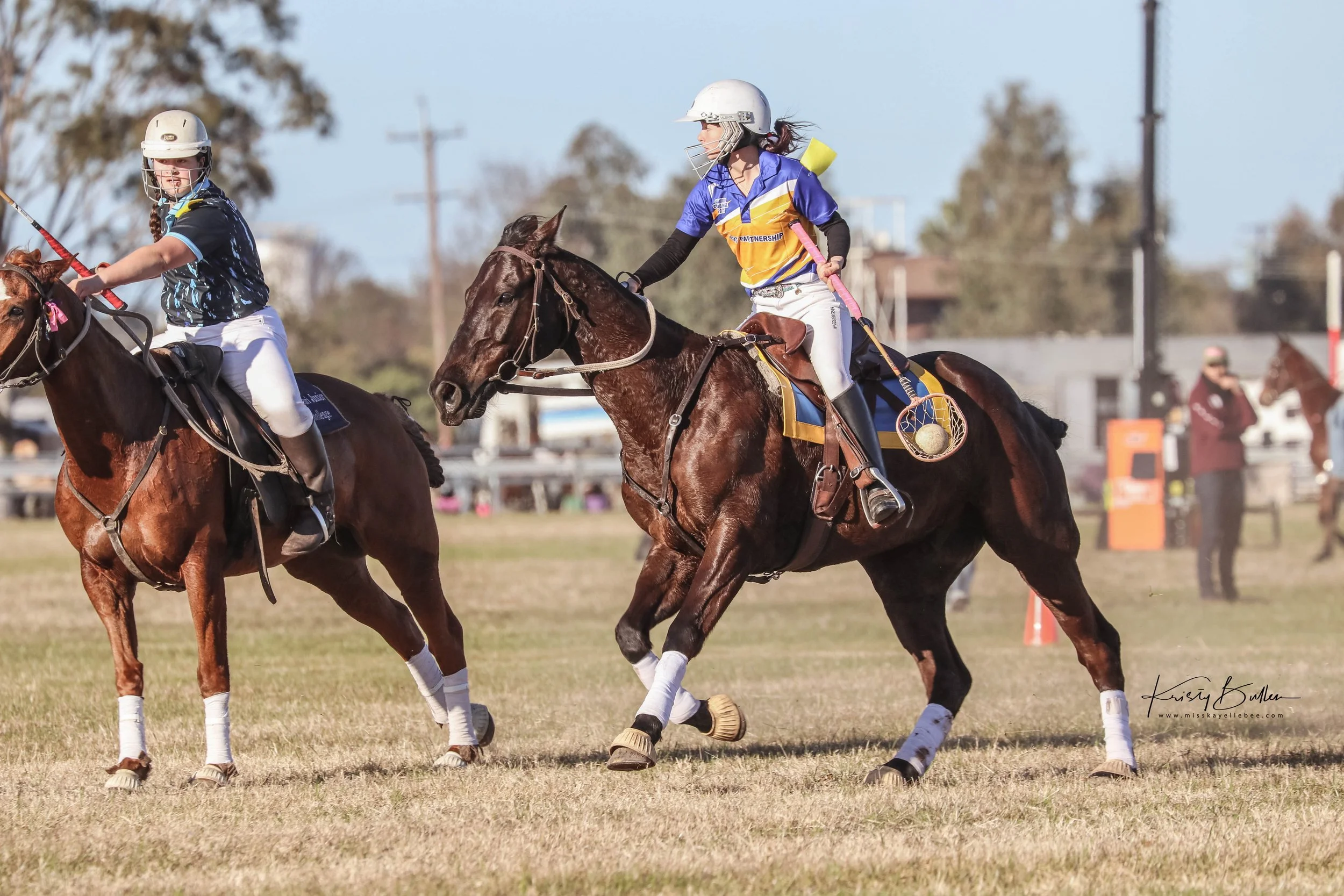 JH Strike (Scotty Jo) | 𝐄𝐏 𝐇𝐨𝐫𝐬𝐞 𝐏𝐫𝐨𝐟𝐢𝐥𝐞 | 𝐑𝐨𝐚𝐝 𝐭𝐨 𝐭𝐡𝐞 𝟐𝟎𝟐𝟔 𝐃𝐚𝐫𝐰𝐢𝐧 𝐏𝐨𝐥𝐨𝐜𝐫𝐨𝐬𝐬𝐞 𝐍𝐚𝐭𝐢𝐨𝐧𝐚𝐥𝐬