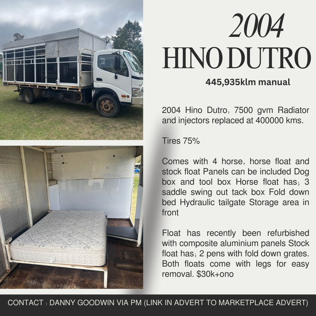 2004 Hino Dutro Truck 