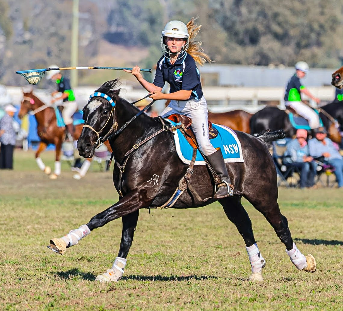 Asar Lady Antebellum 𝐄𝐏 𝐇𝐨𝐫𝐬𝐞 𝐏𝐫𝐨𝐟𝐢𝐥𝐞 | 𝐑𝐨𝐚𝐝 𝐭𝐨 𝐭𝐡𝐞 𝟐𝟎𝟐𝟔 𝐃𝐚𝐫𝐰𝐢𝐧 𝐏𝐨𝐥𝐨𝐜𝐫𝐨𝐬𝐬𝐞 𝐍𝐚𝐭𝐢𝐨𝐧𝐚𝐥𝐬 