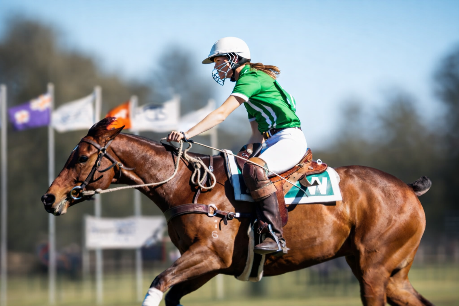 𝐄𝐏 | 𝐁𝐞𝐡𝐢𝐧𝐝 𝐭𝐡𝐞 𝐥𝐞𝐧𝐬 with Cowboy Cam.