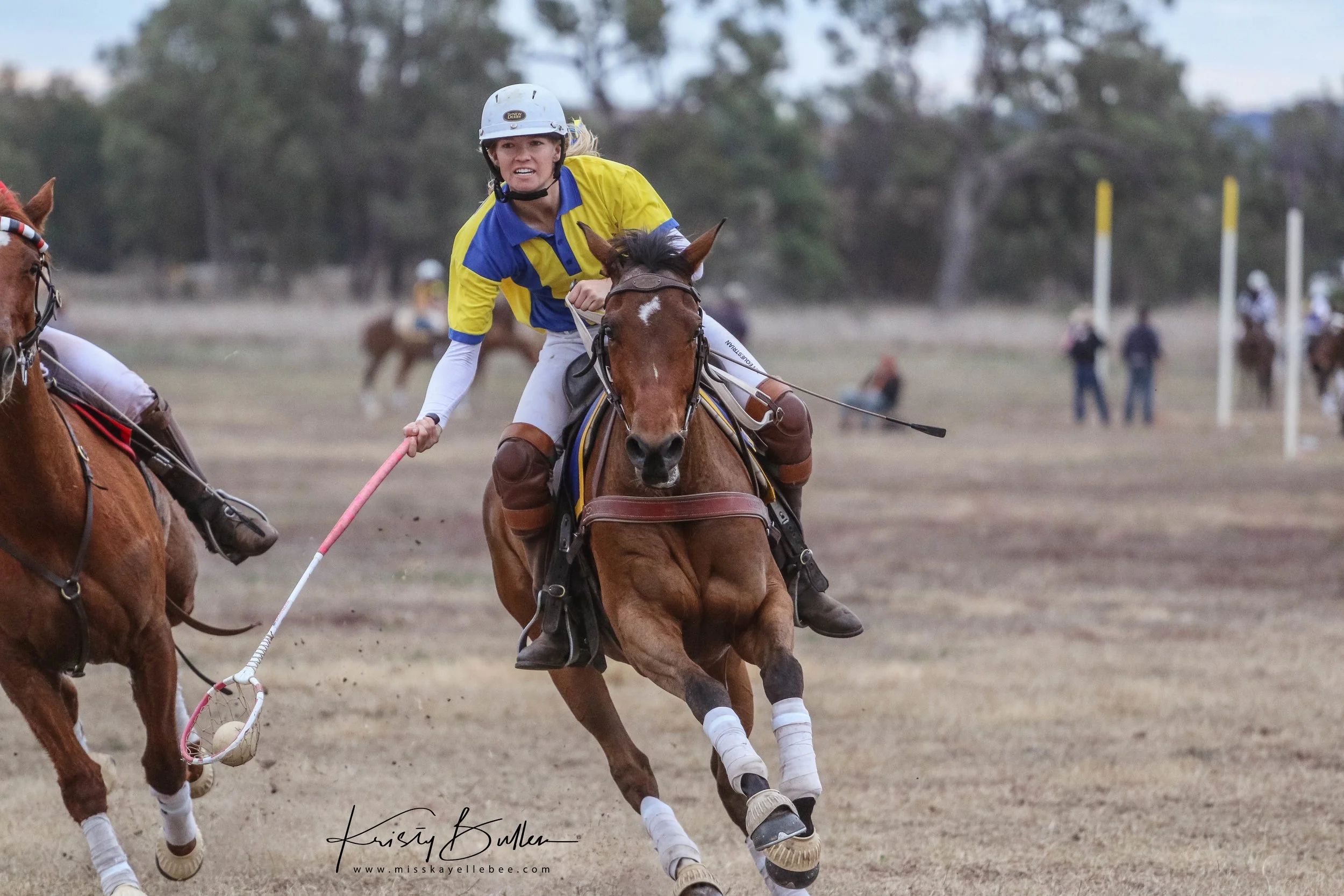 Steptovictory Jive Time | 𝐑𝐨𝐚𝐝 𝐭𝐨 𝐭𝐡𝐞 𝟐𝟎𝟐𝟔 𝐃𝐚𝐫𝐰𝐢𝐧 𝐏𝐨𝐥𝐨𝐜𝐫𝐨𝐬𝐬𝐞 𝐍𝐚𝐭𝐢𝐨𝐧𝐚𝐥𝐬