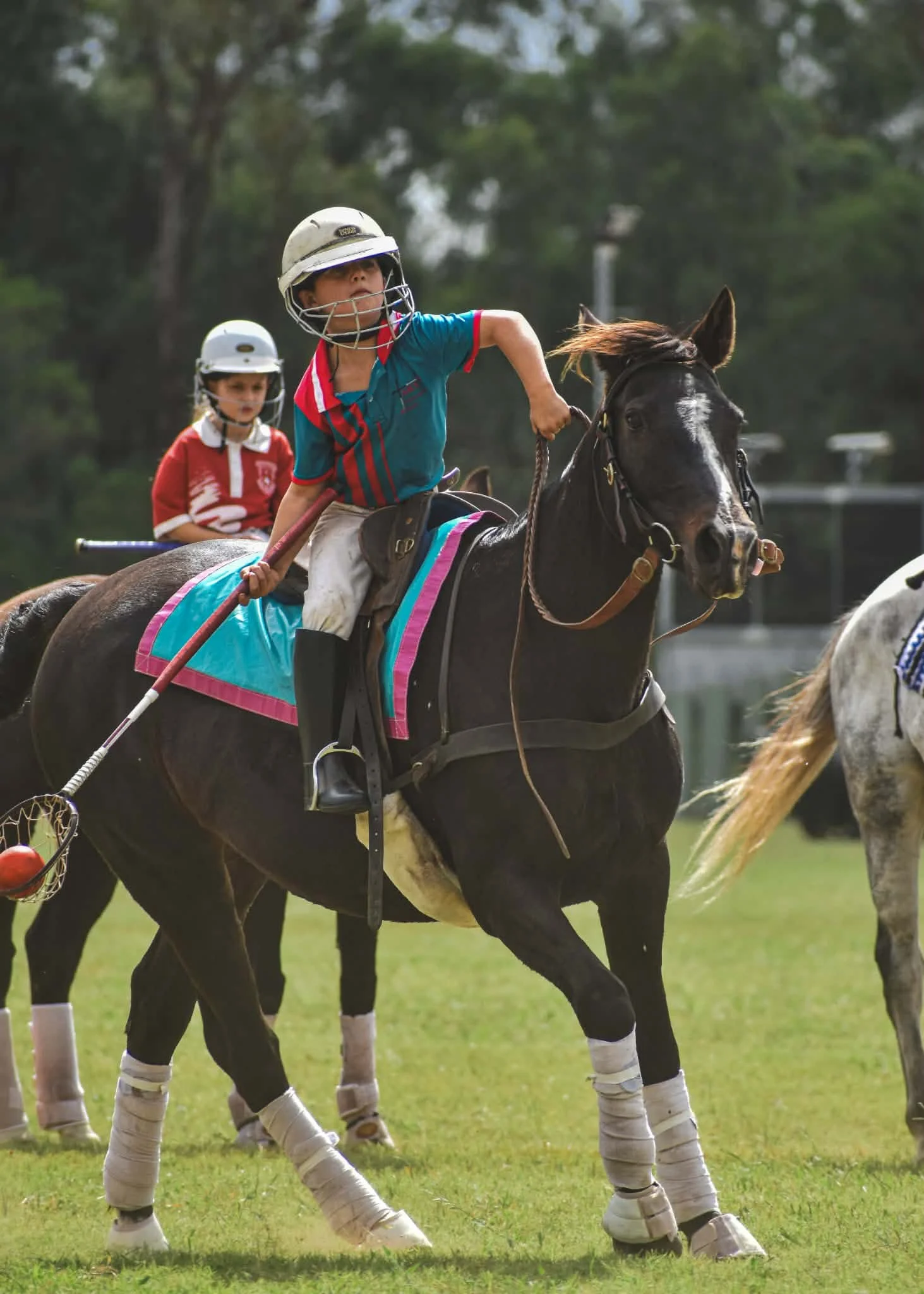 Rosebrook Champagne | 𝐑𝐨𝐚𝐝 𝐭𝐨 𝐭𝐡𝐞 𝟐𝟎𝟐𝟔 𝐃𝐚𝐫𝐰𝐢𝐧 𝐏𝐨𝐥𝐨𝐜𝐫𝐨𝐬𝐬𝐞 𝐍𝐚𝐭𝐢𝐨𝐧𝐚𝐥𝐬