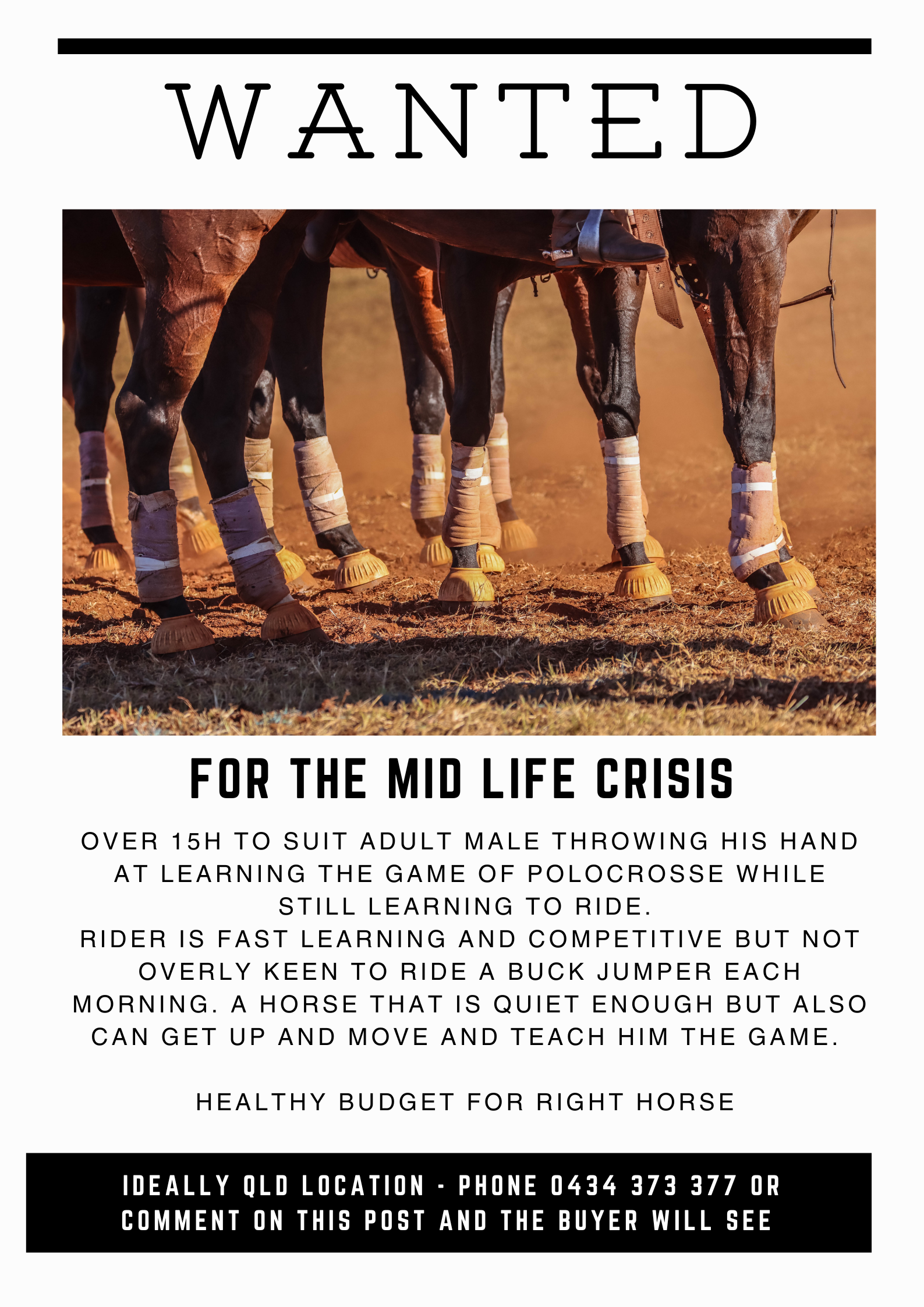 WTB ~ for adult male learner