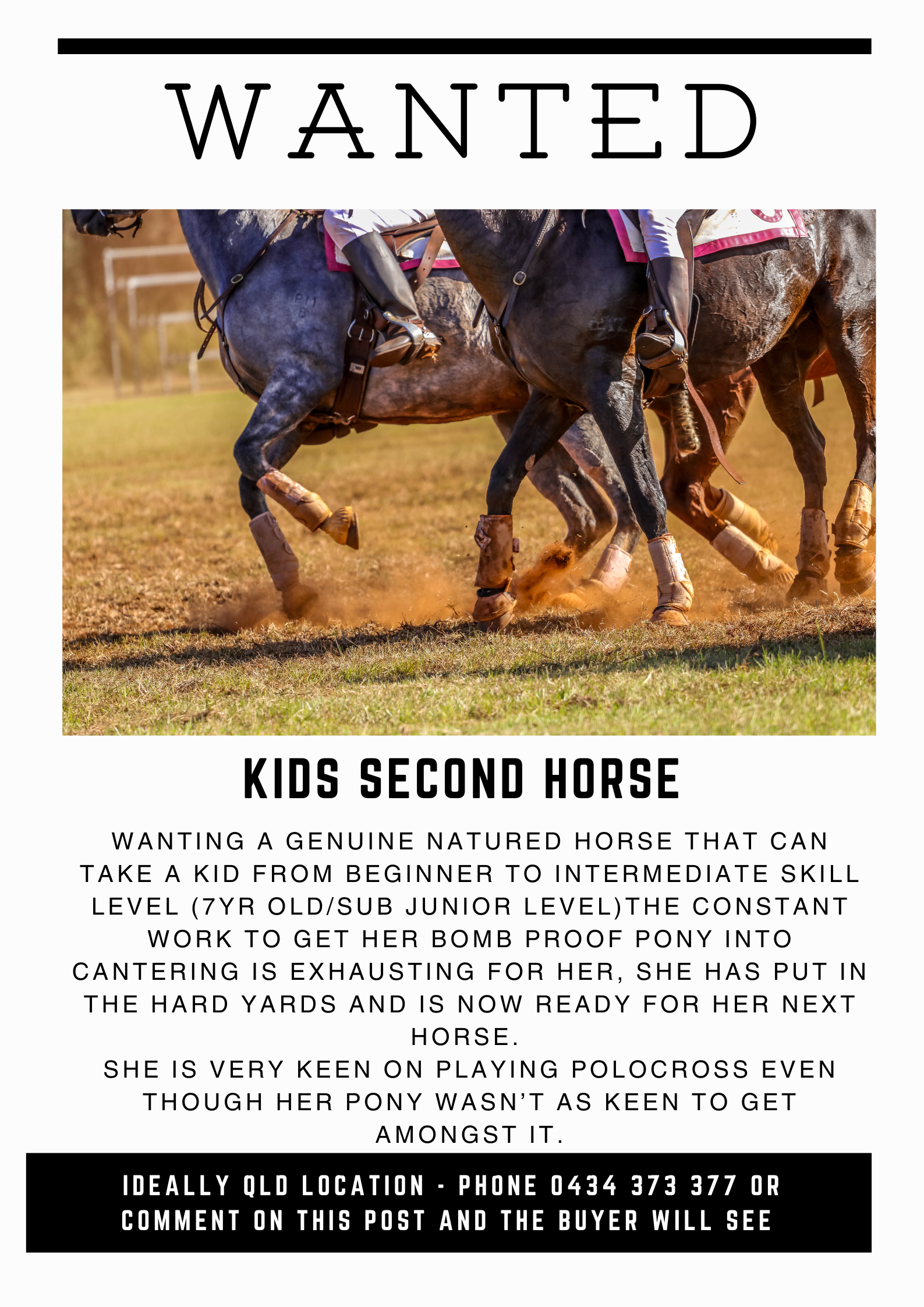 WTB ~ Kids second horse 