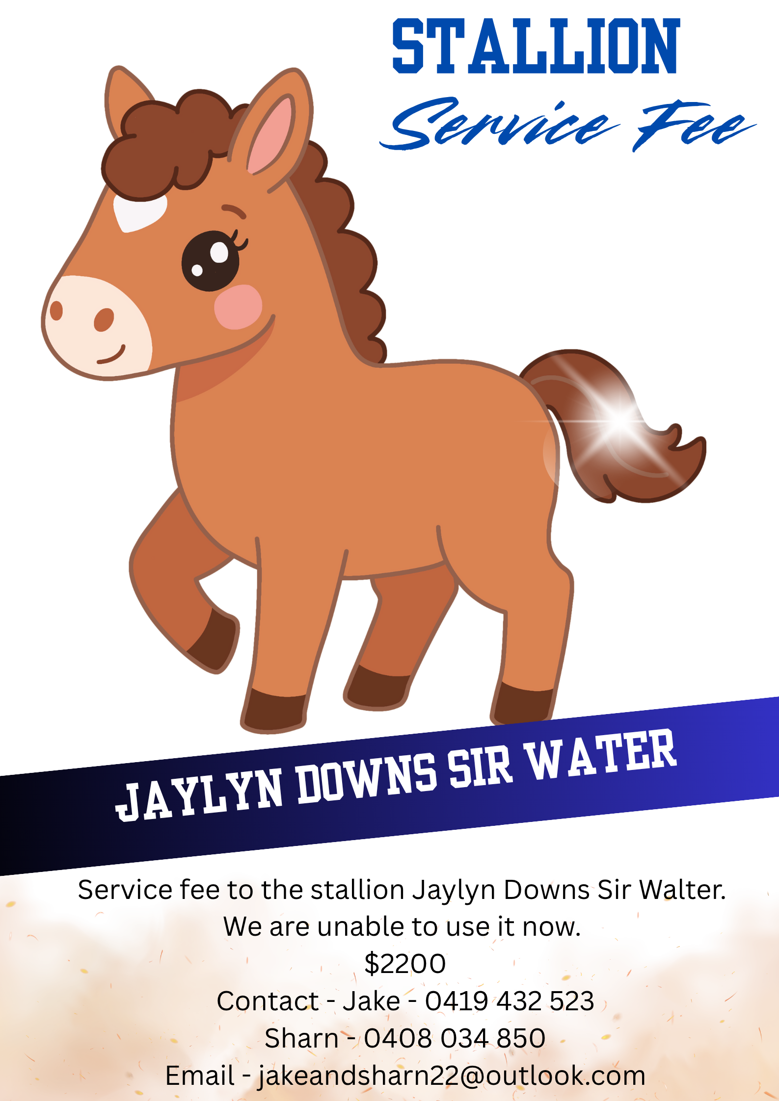 Service Fee ~ Jaylyn Downs Sir Walter 