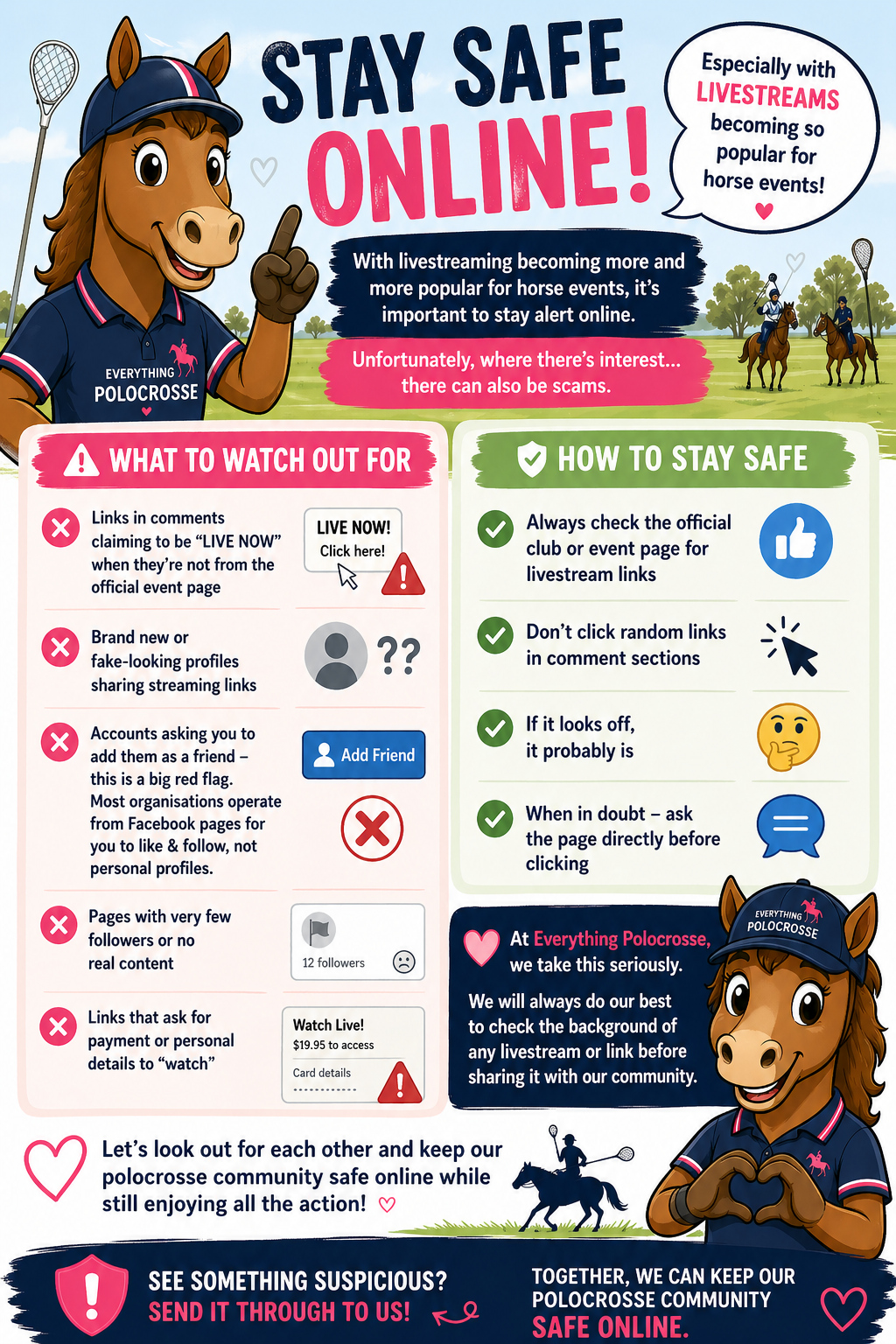 Stay Safe Online 