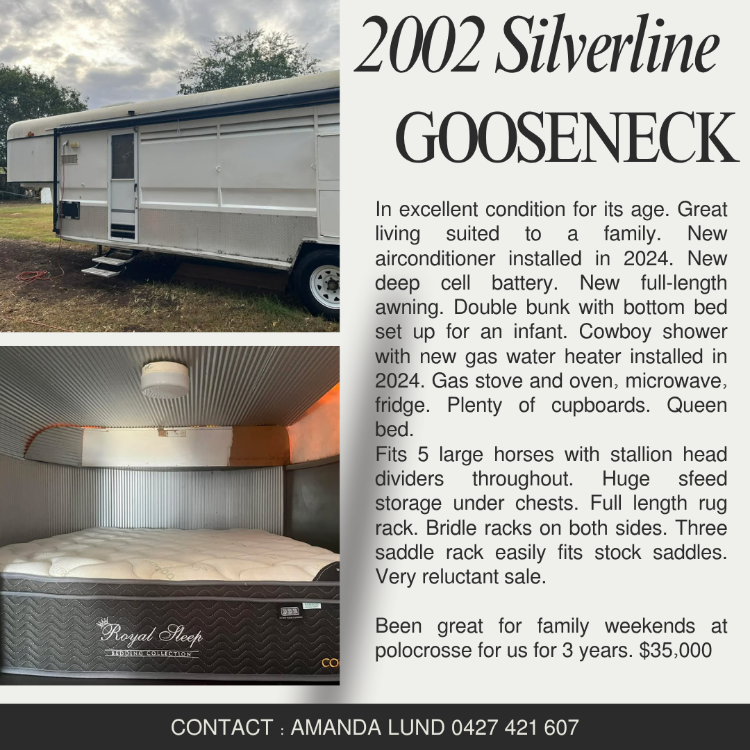 2002 Silverline 5 Horse Gooseneck 