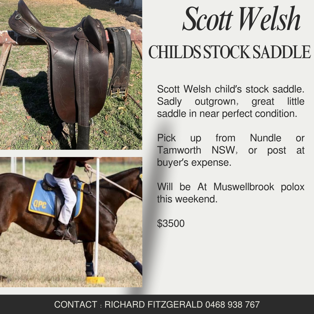 Scott Welsh Childs Stock Saddle 