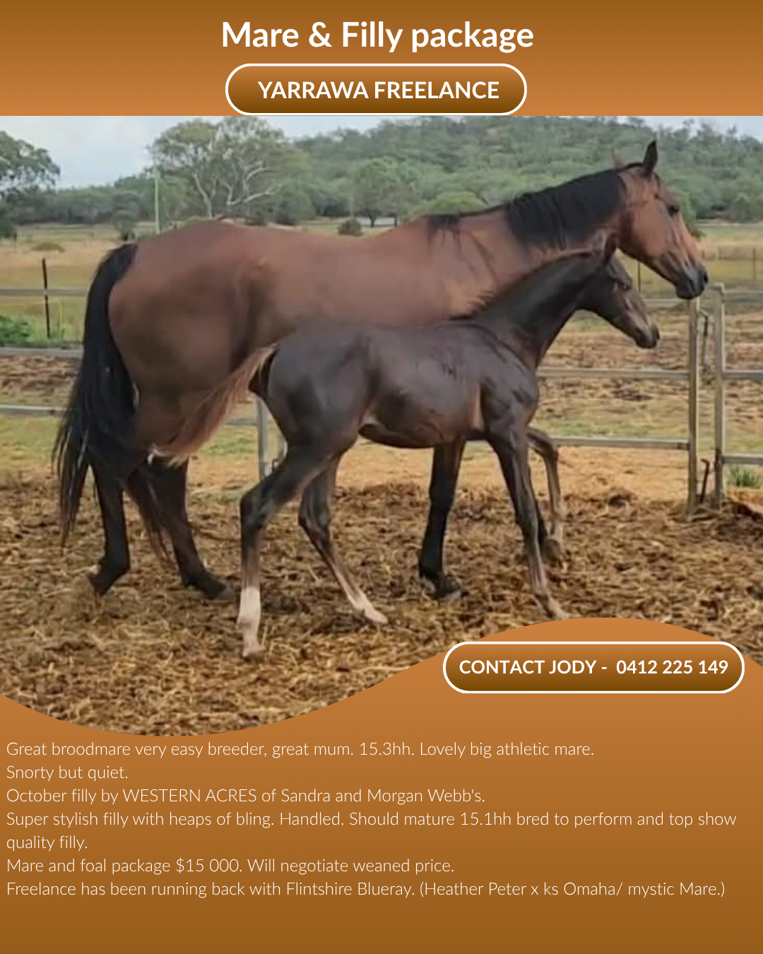 Yarrawa Freelance ~ Mare &amp; Foal package 