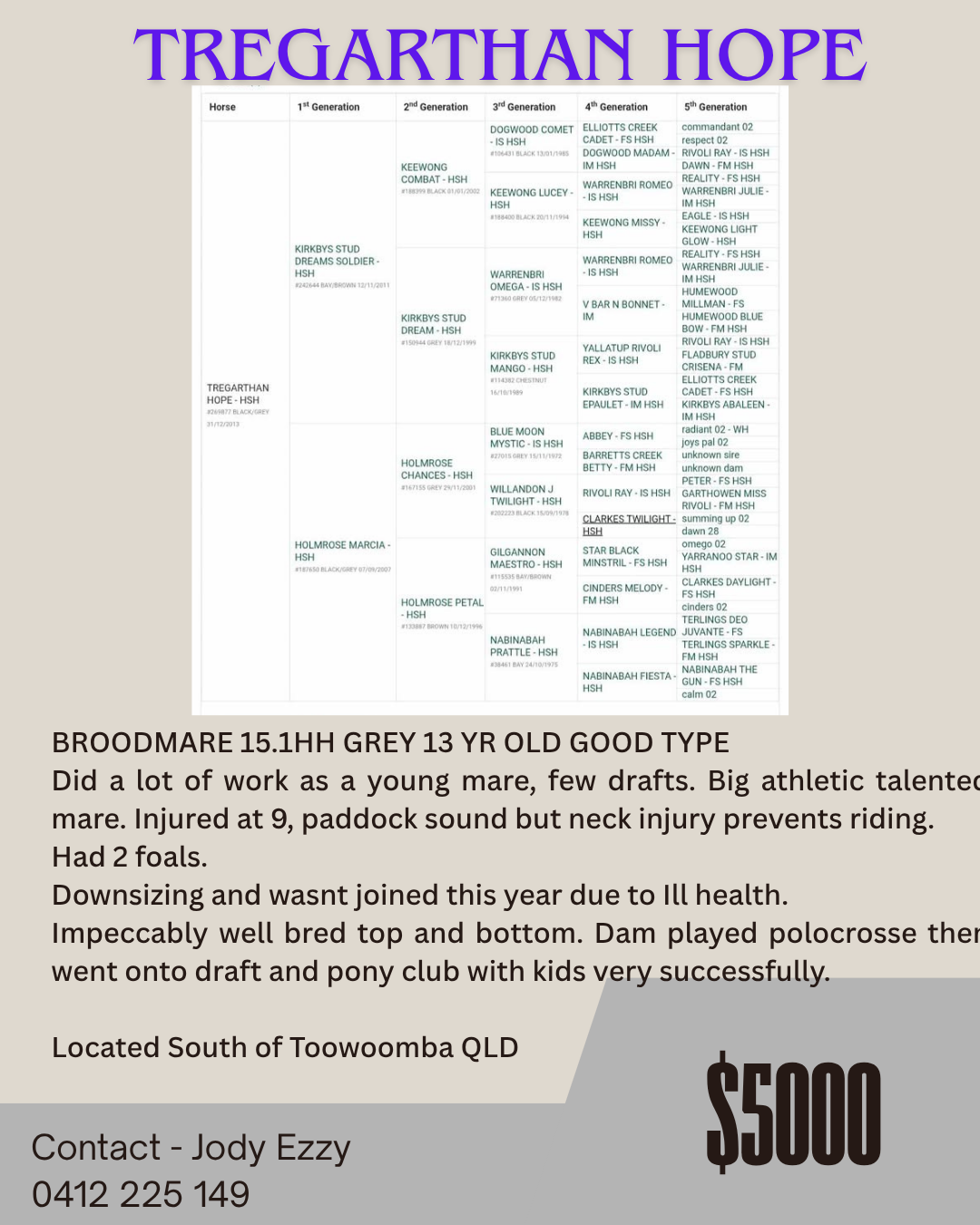 Tregarthan Hope ~ ASH Broodmare