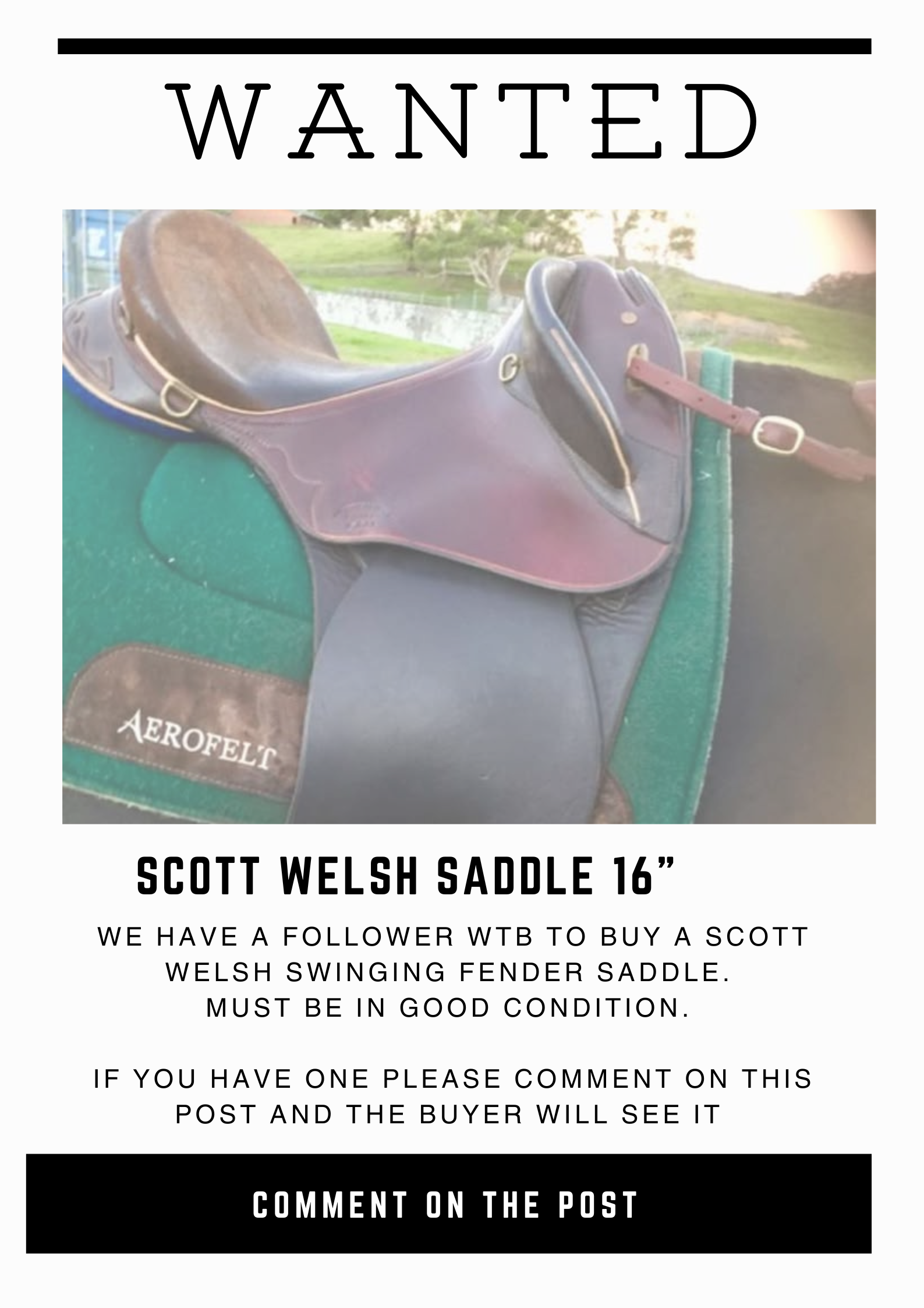 WTB ~ Scott Welsh Saddle 