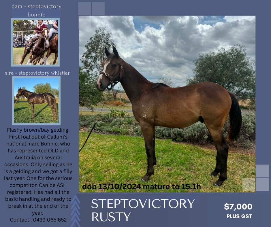 Steptovictory Rusty 