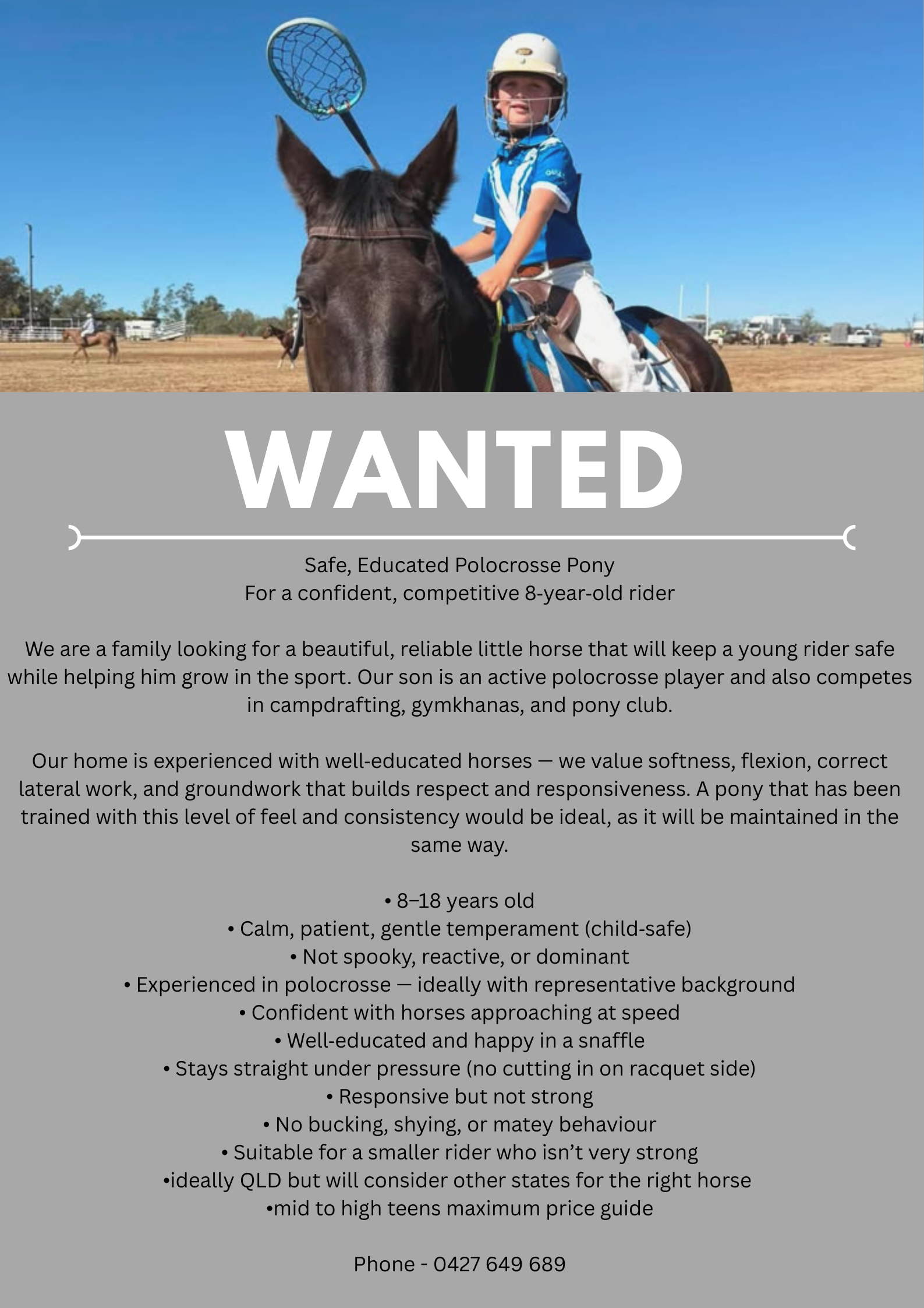 WTB ~ Safe, Educated Horse 