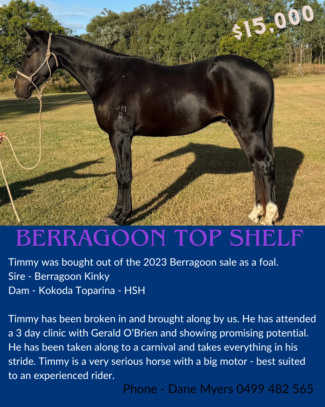 Berragoon Top Shelf 