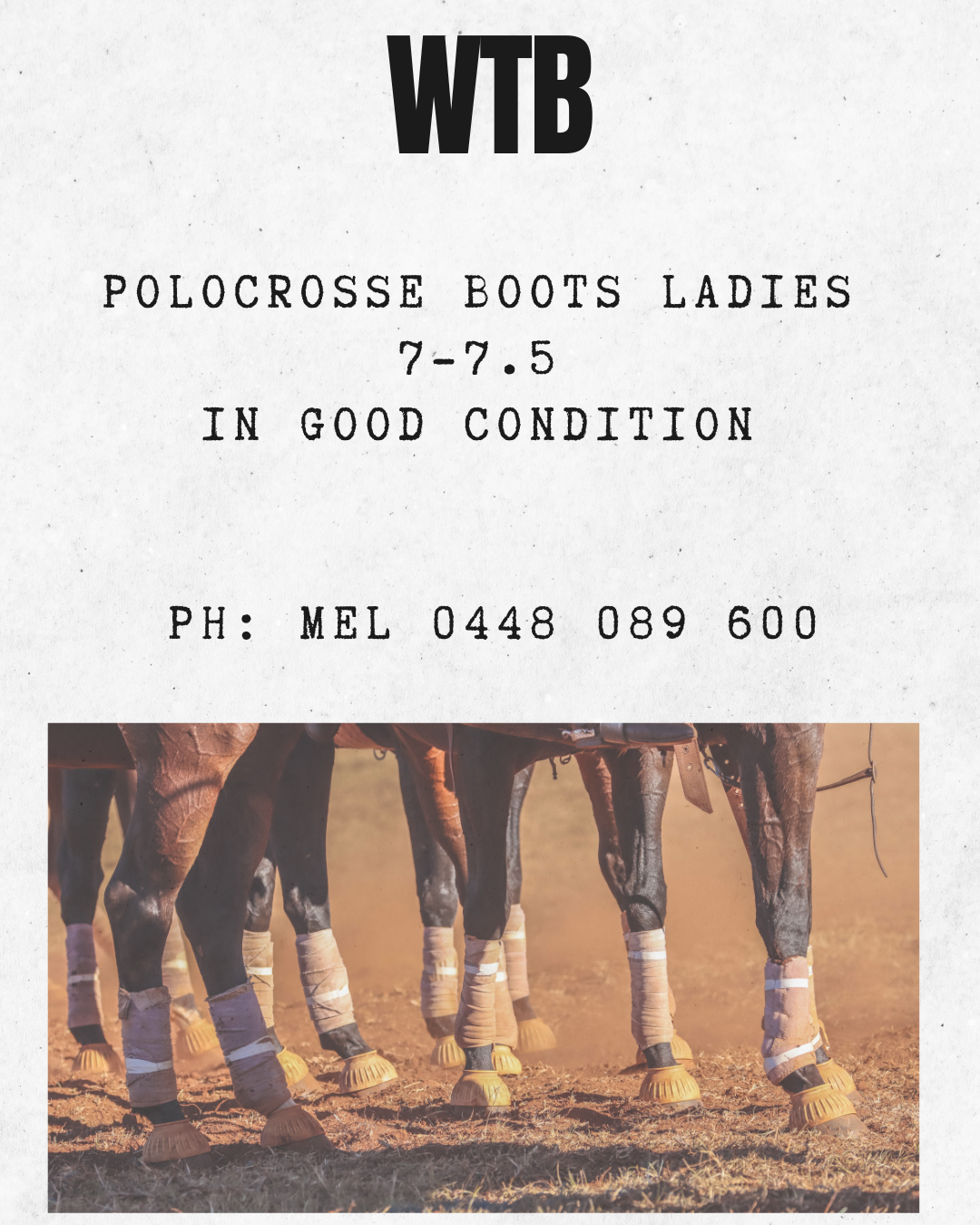 WTB ~ Ladies Polocrosse Boots 
