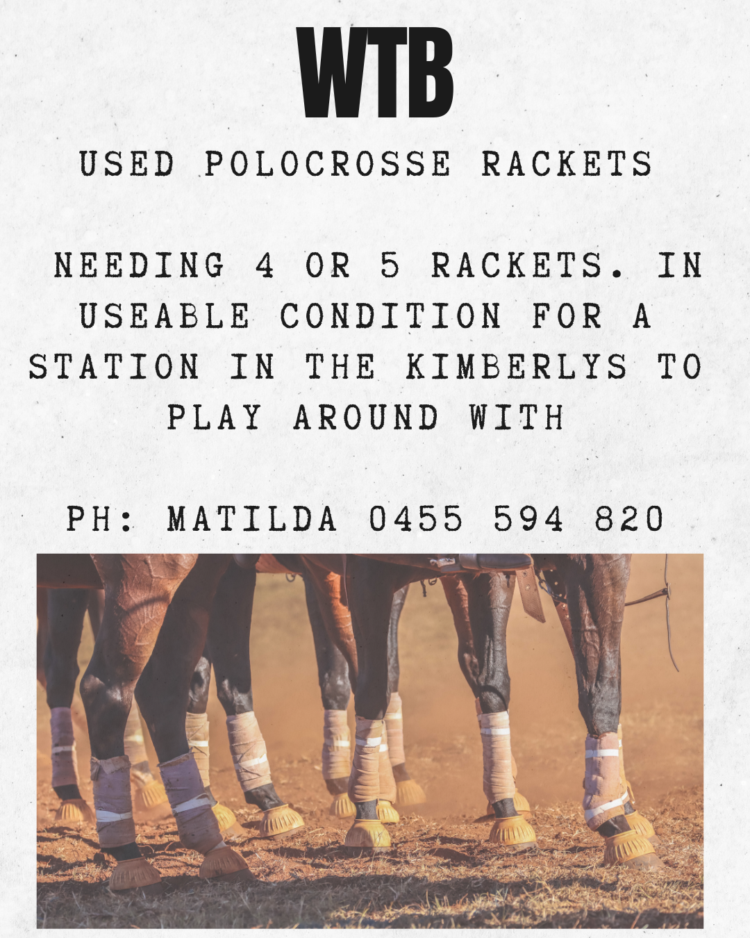 WTB ~ Polocrosse Rackets 