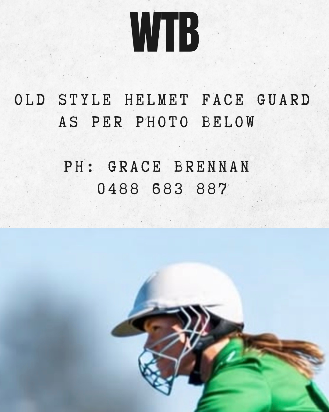 WTB ~ Old Style Faceguard 