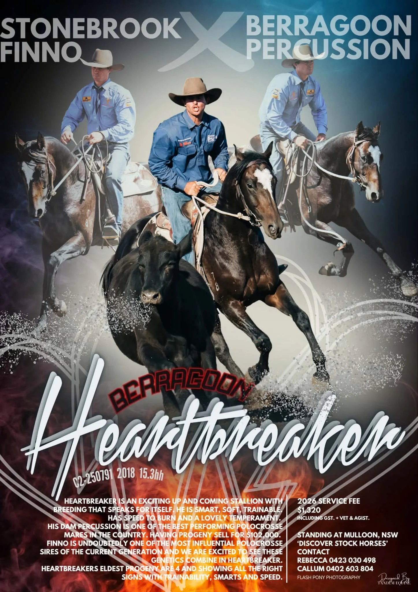 Berragoon Heartbreaker ~ ASH #C2-250791
