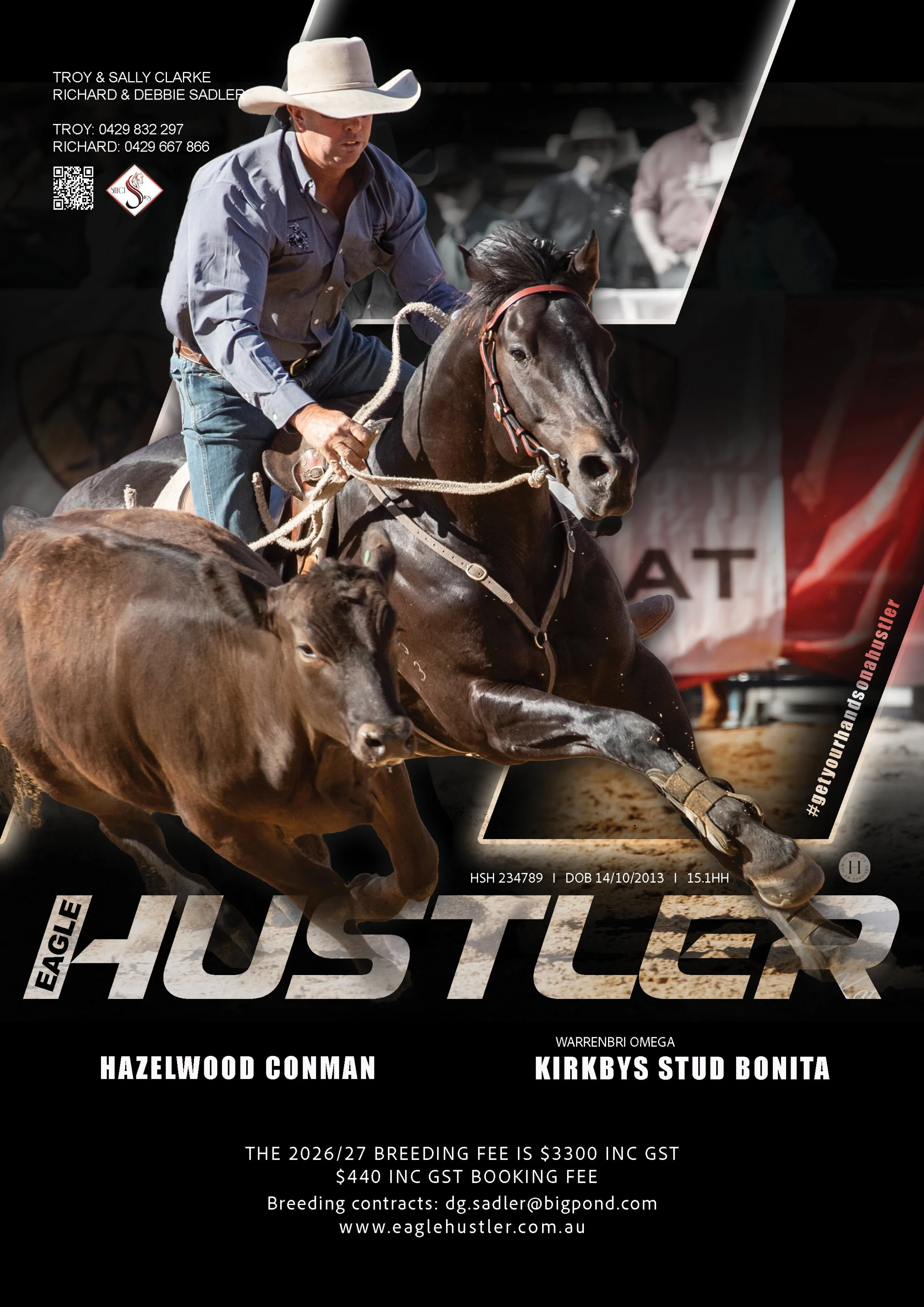 Eagle Hustler ~ ASH #234789 