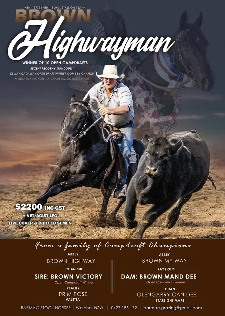 Brown Highwayman ~ ASH # 187754