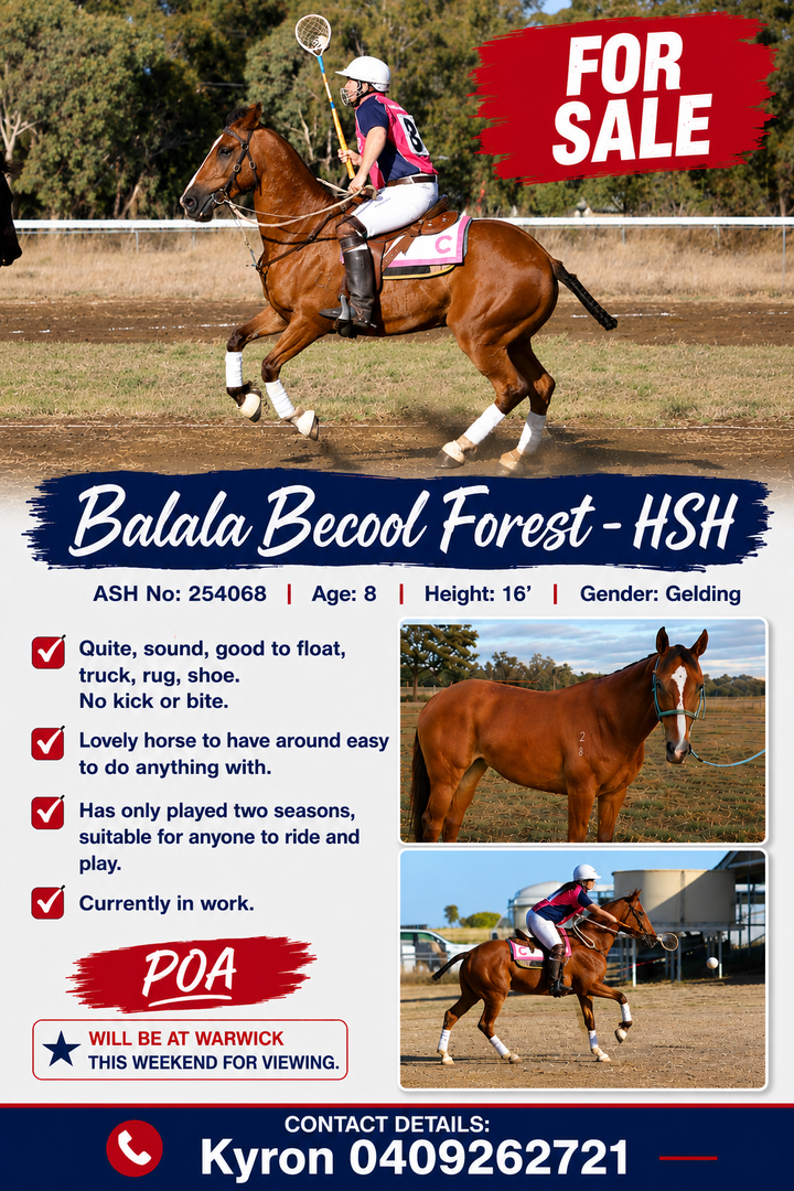 Balala Becool Forest ~ ASH #254068