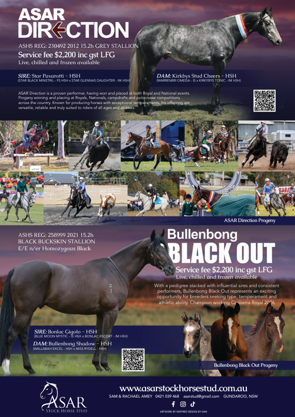 ASAR Stock Horse Stud 