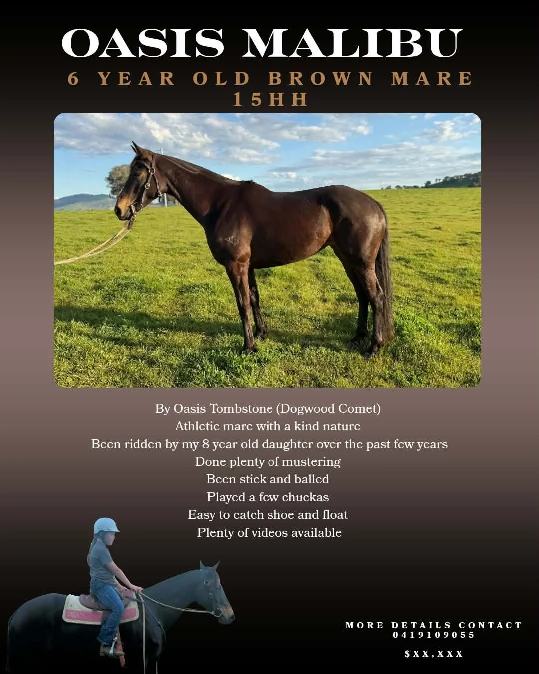 Oasis Malibu ~ 6yo Brown Mare 